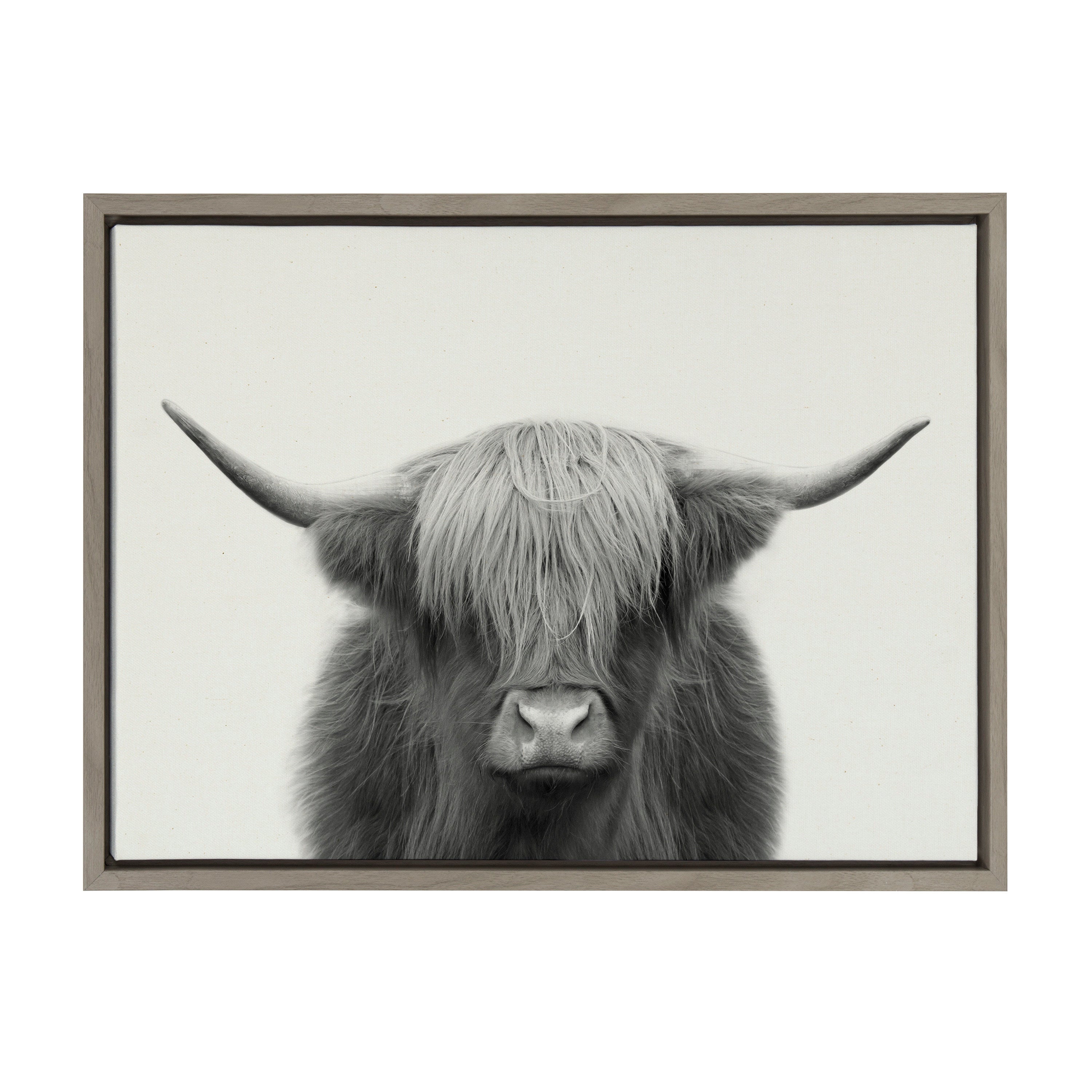 Sylvie Hey Dude Highland Cow Framed Linen Canvas by The Creative Bunch Studio