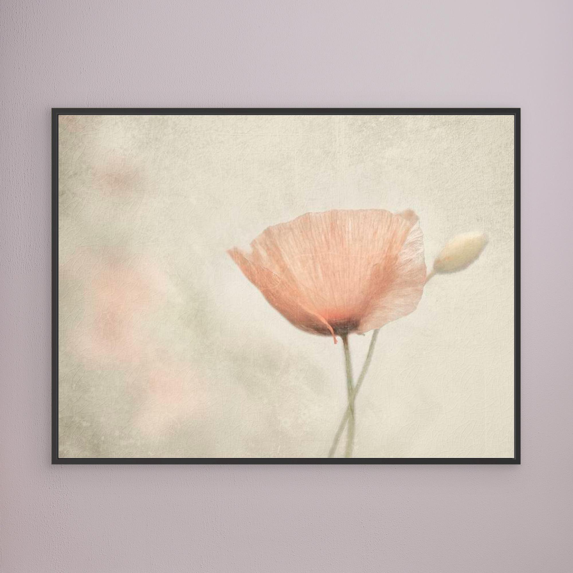 jewel of nature by Gilbert Claes