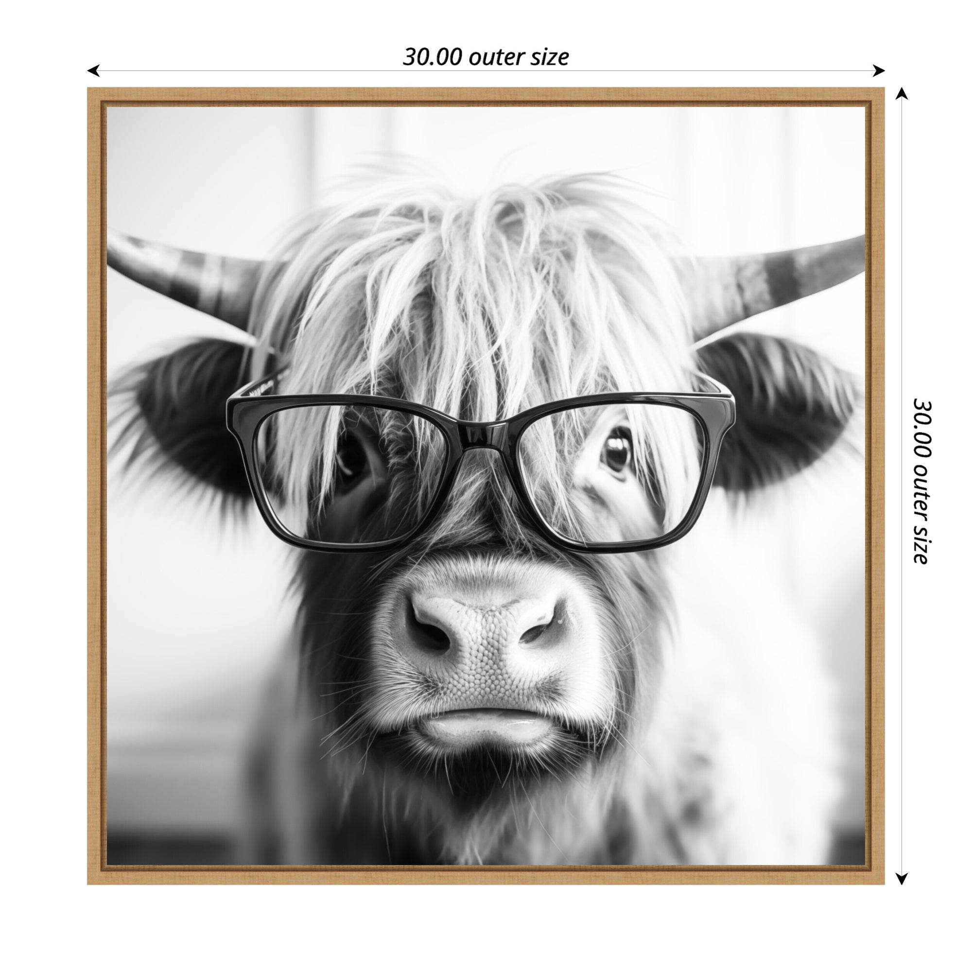 Sylvie Black and White Highland Cow in Reading Glasses Framed Canvas by The Creative Bunch Studio