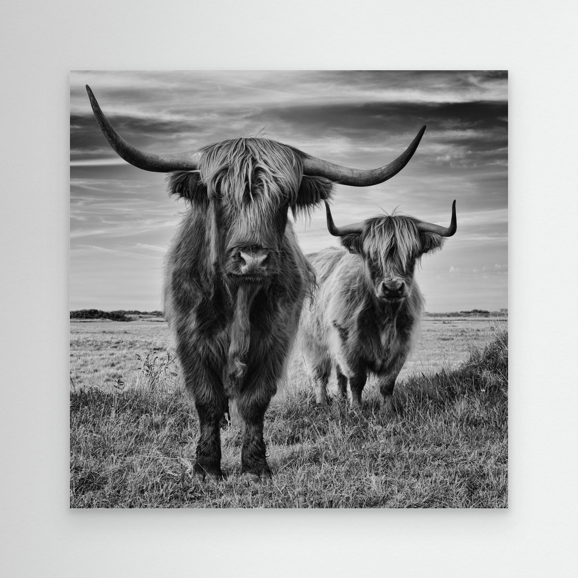 Highlands by Stéphane Pecqueux - PRHOMZ