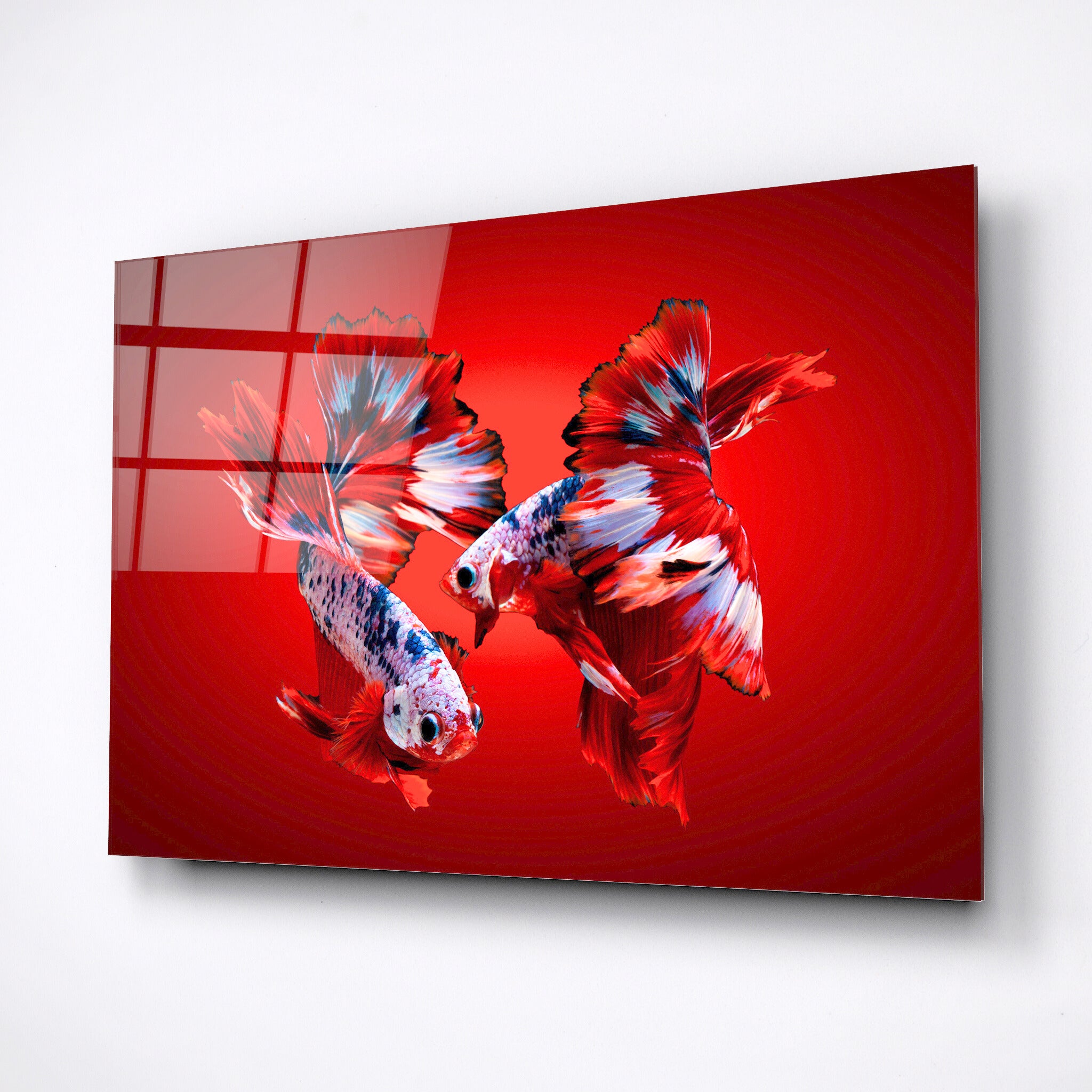 Glass wall art, two fish, animal theme, home decor