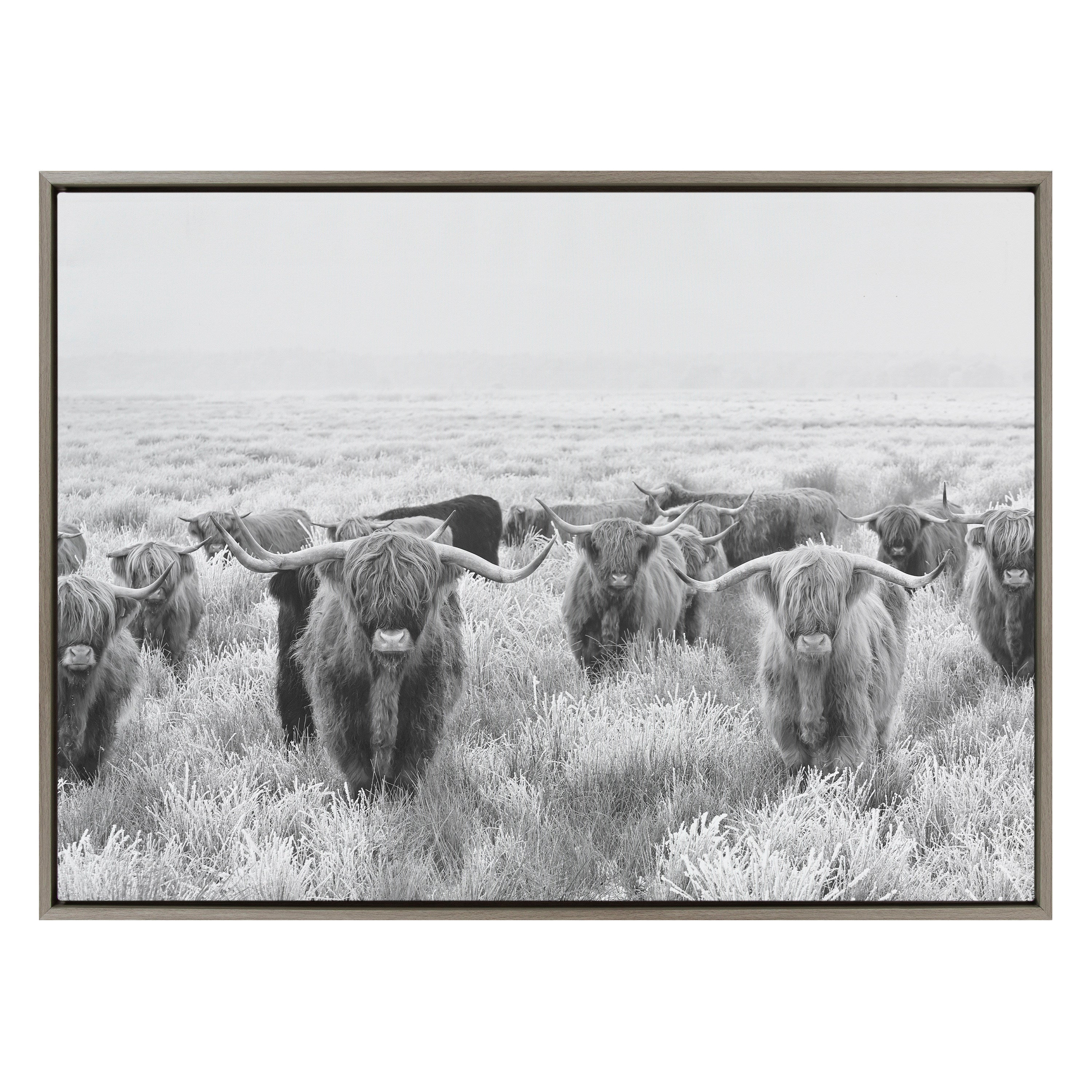 Sylvie Herd of Highland Cows Black and White Framed Canvas by The Creative Bunch Studio