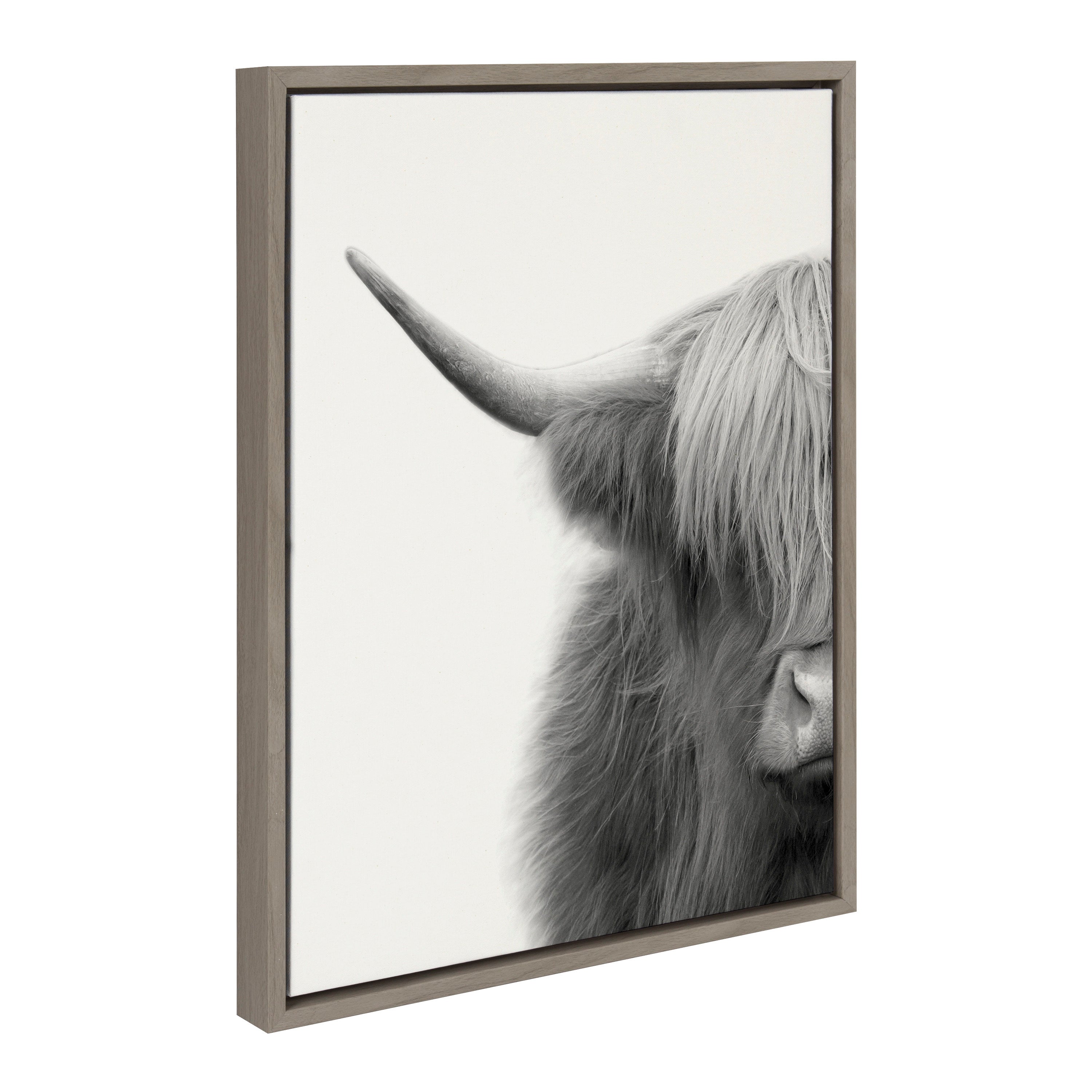Sylvie Hey Dude Highland Cow Crop Framed Canvas by The Creative Bunch Studio