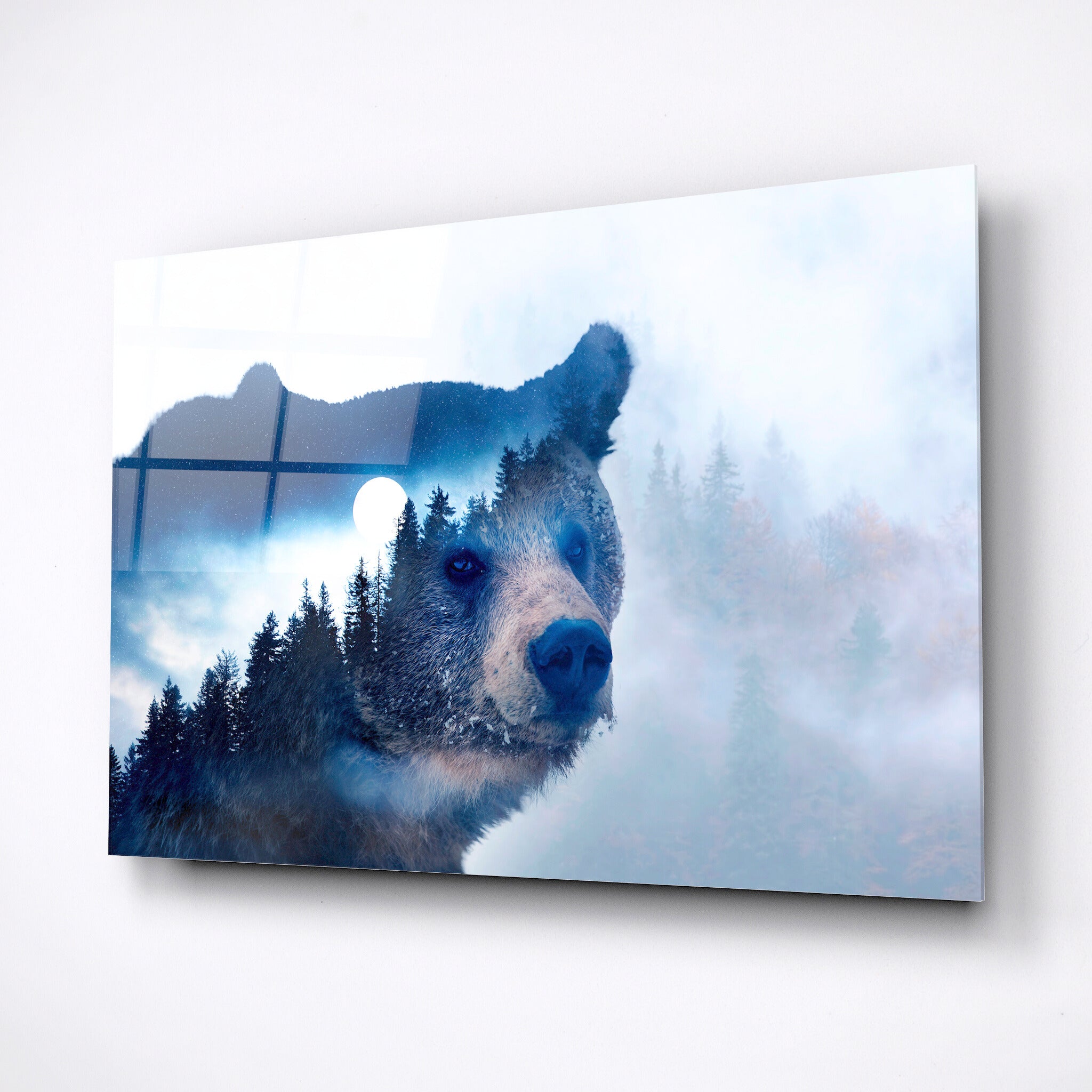 Wild bear tempered wall art glass