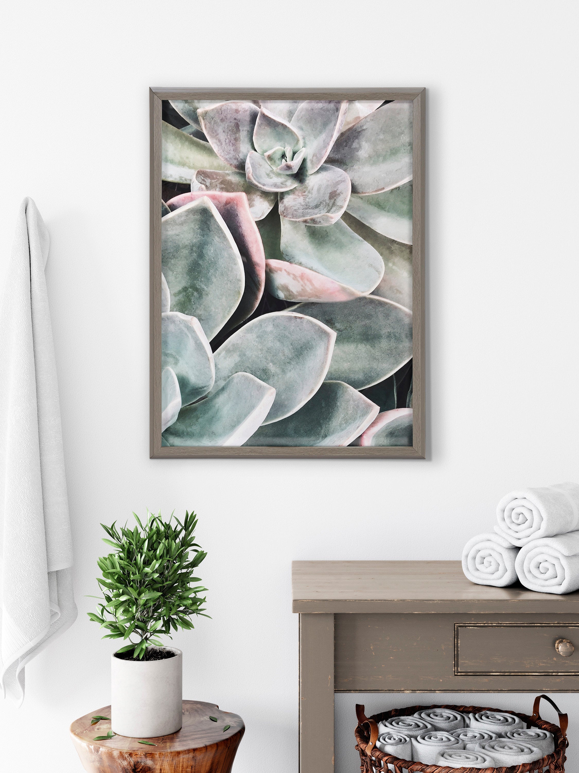 Blake Botanical Succulent Plants 1 Framed Printed Glass by The Creative Bunch Studio