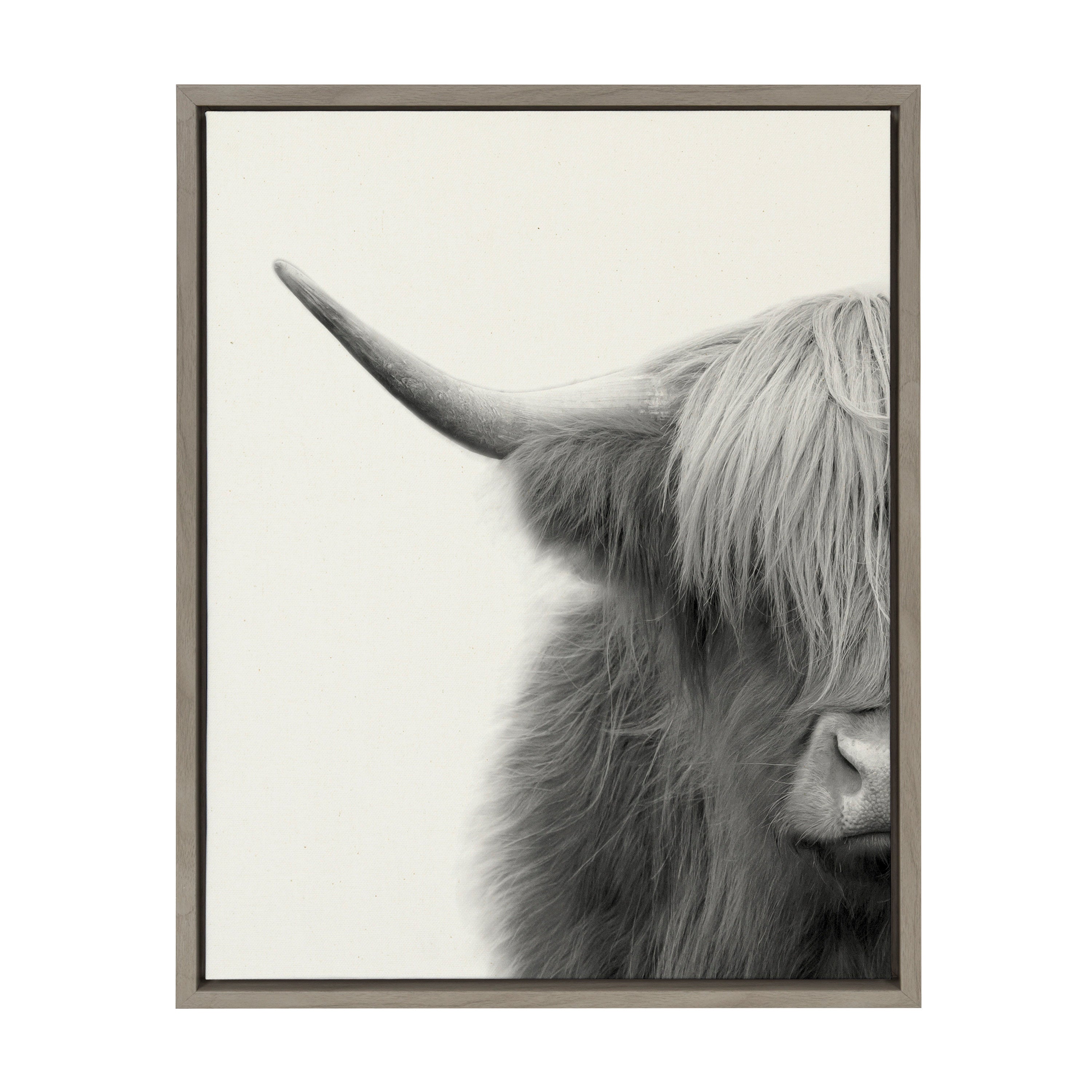 Sylvie Hey Dude Highland Cow Crop Framed Canvas by The Creative Bunch Studio