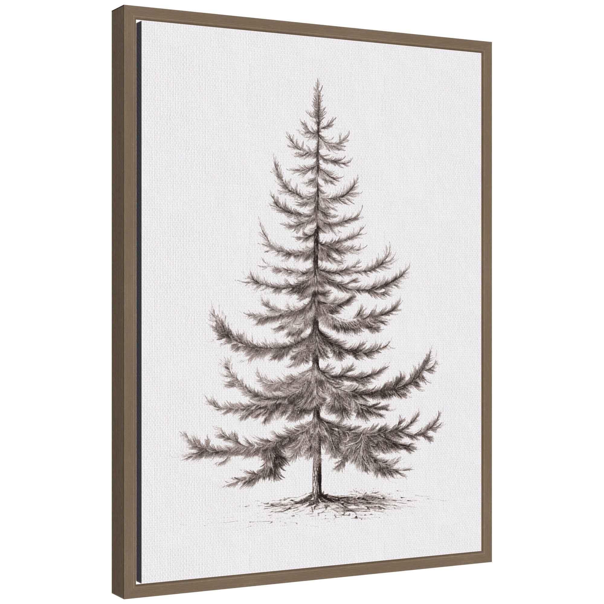 Sylvie Framed Canvas Vintage Evergreen Fir Tree lllustration II by The Creative Bunch Studio
