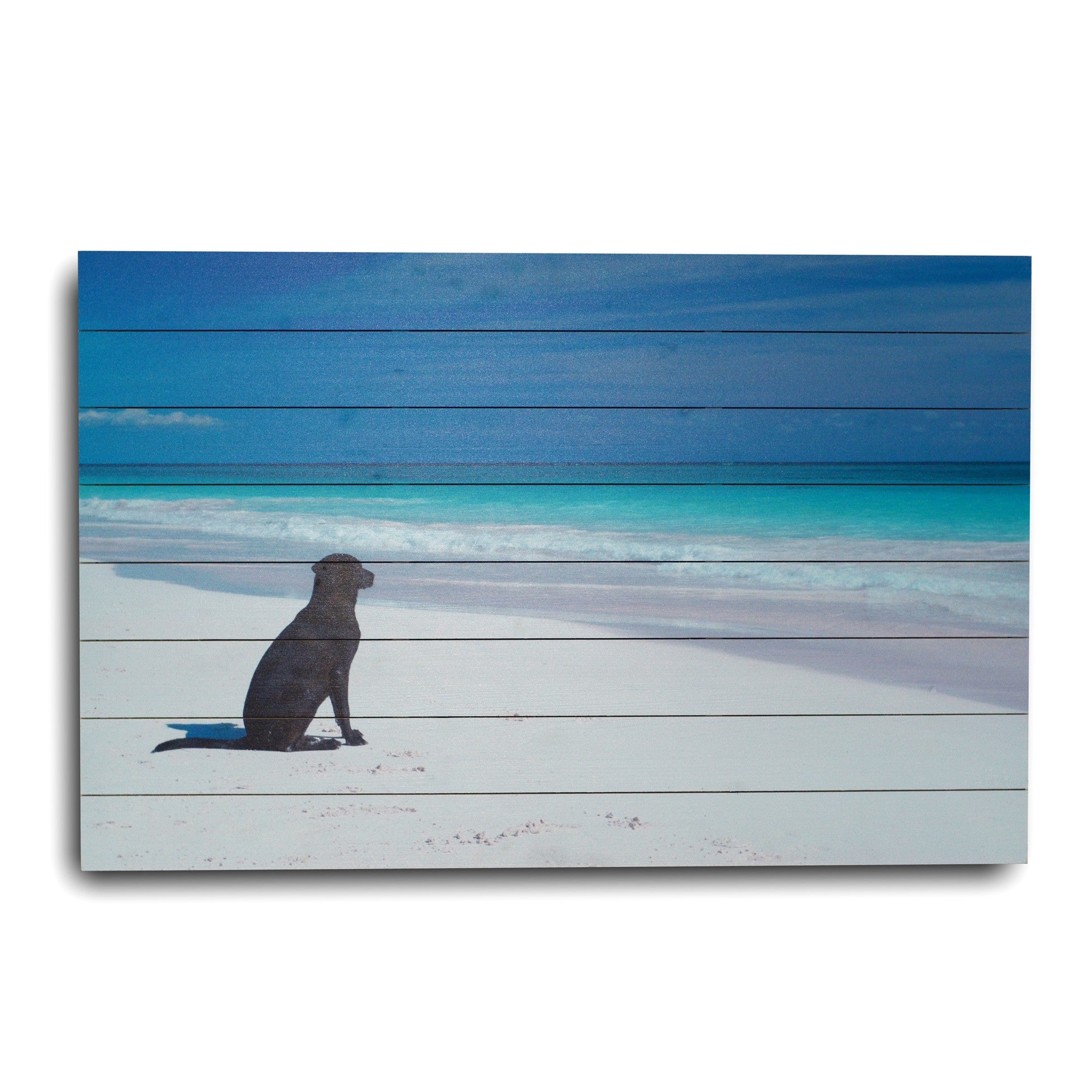 36" Energetic Dog at the Beach Unframed Photograph Wall Art-1