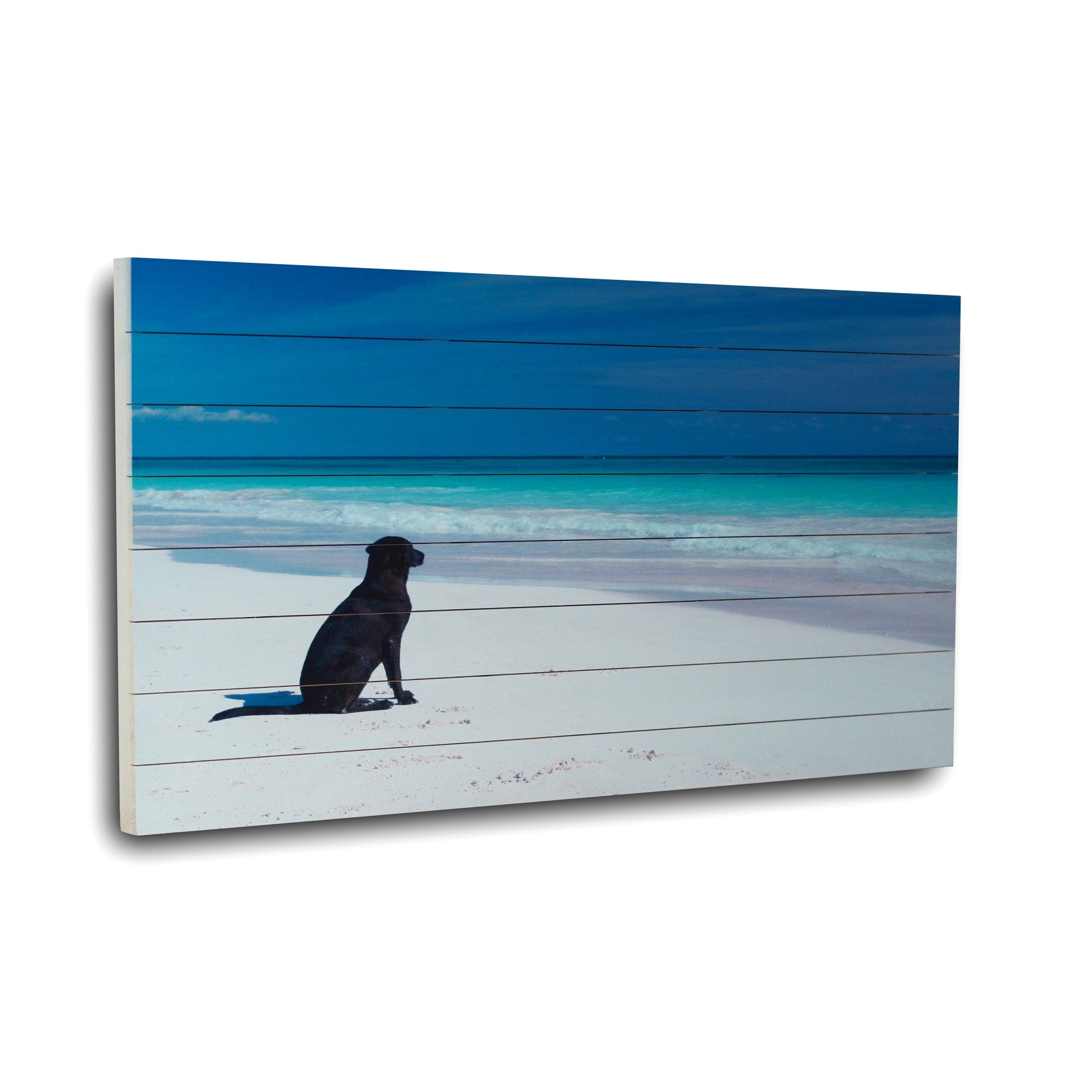 36" Energetic Dog at the Beach Unframed Photograph Wall Art-2