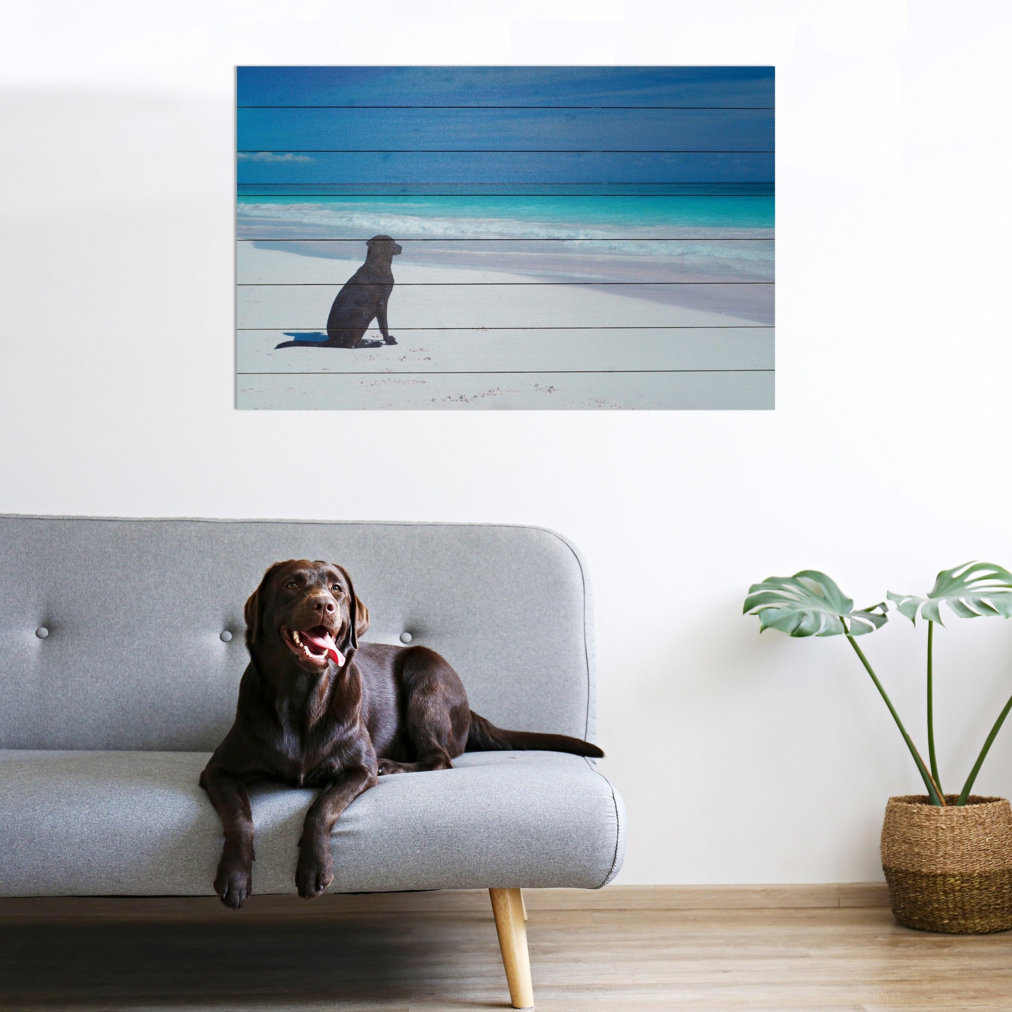 36" Energetic Dog at the Beach Unframed Photograph Wall Art-4