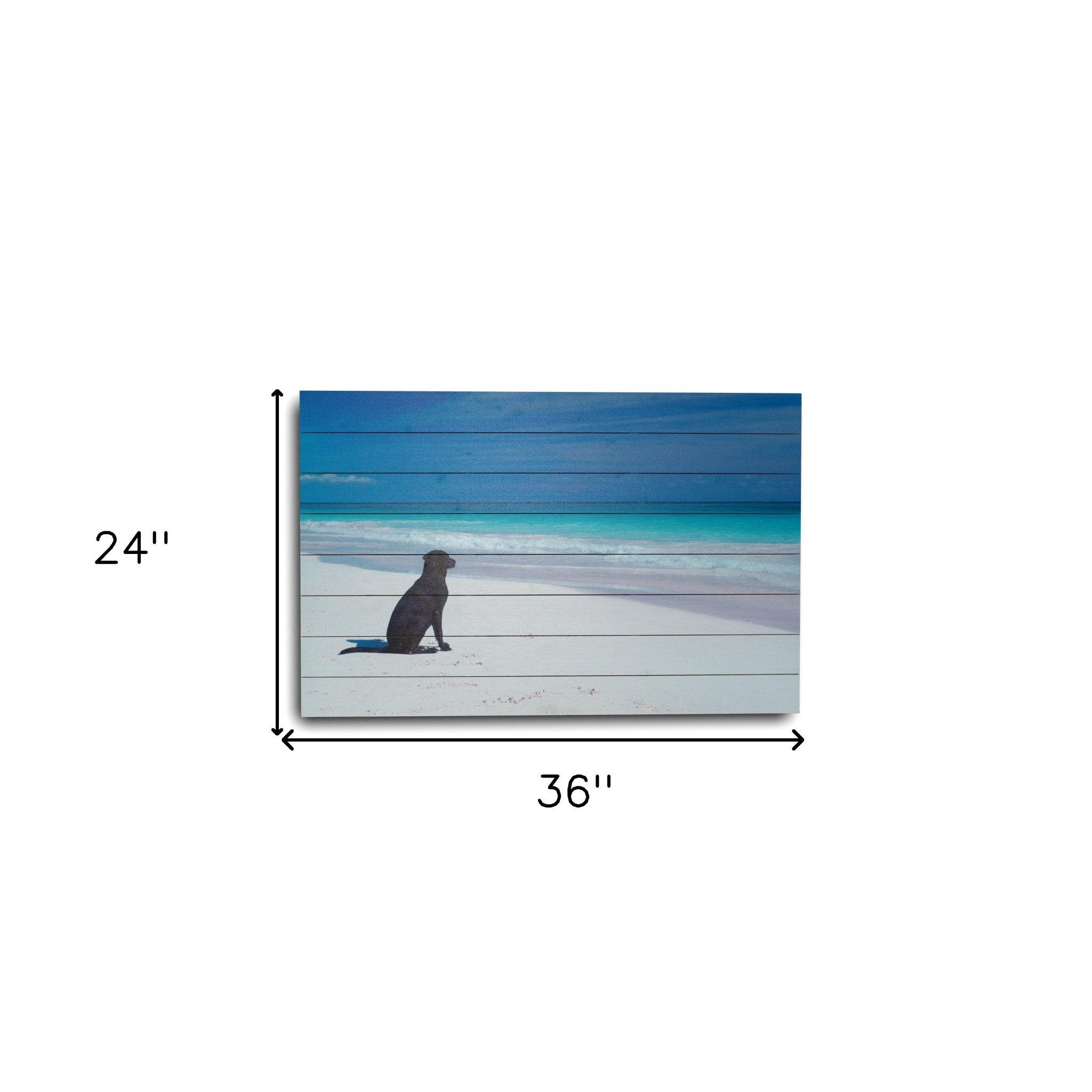 36" Energetic Dog at the Beach Unframed Photograph Wall Art-6