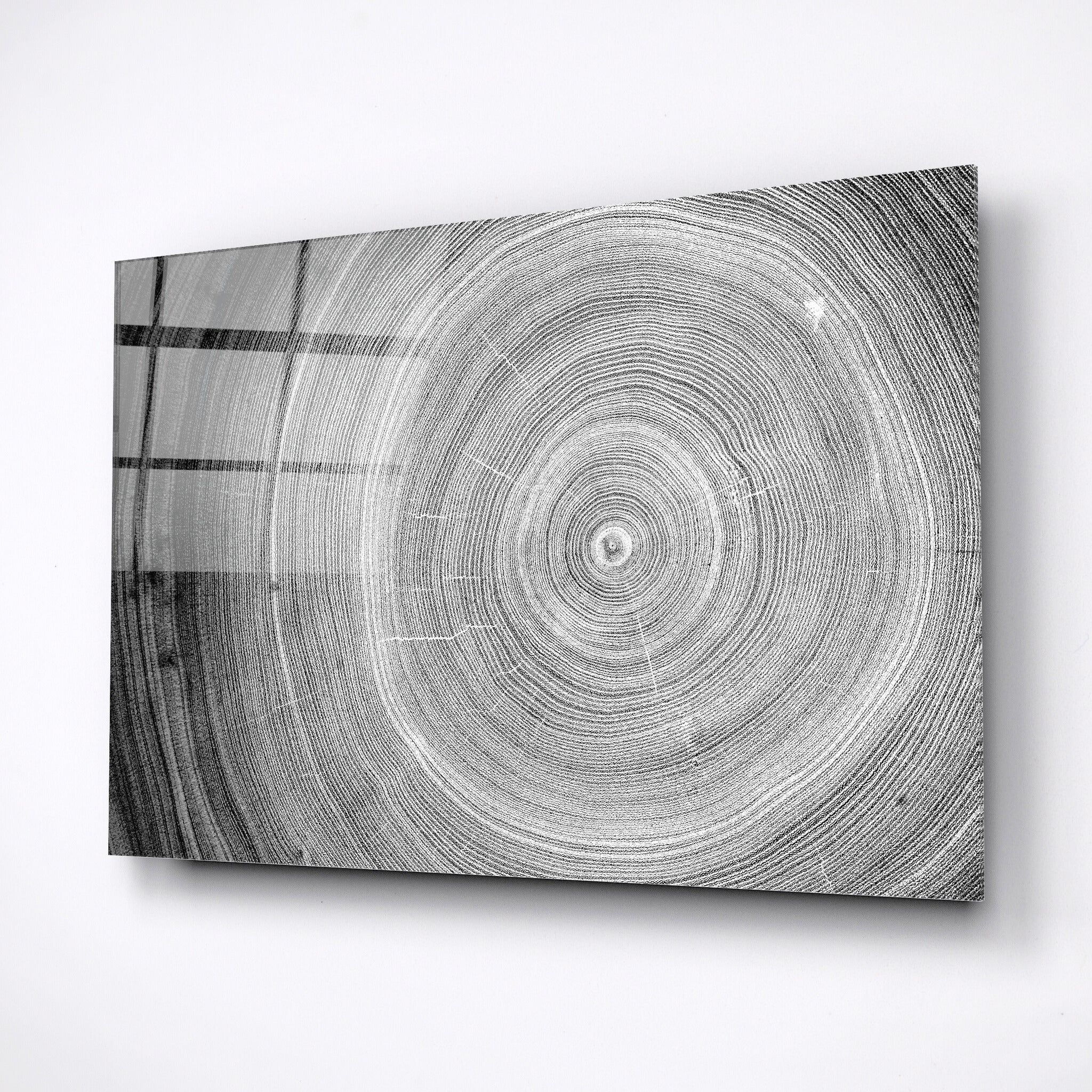 Nature, gray wood, glass wall art