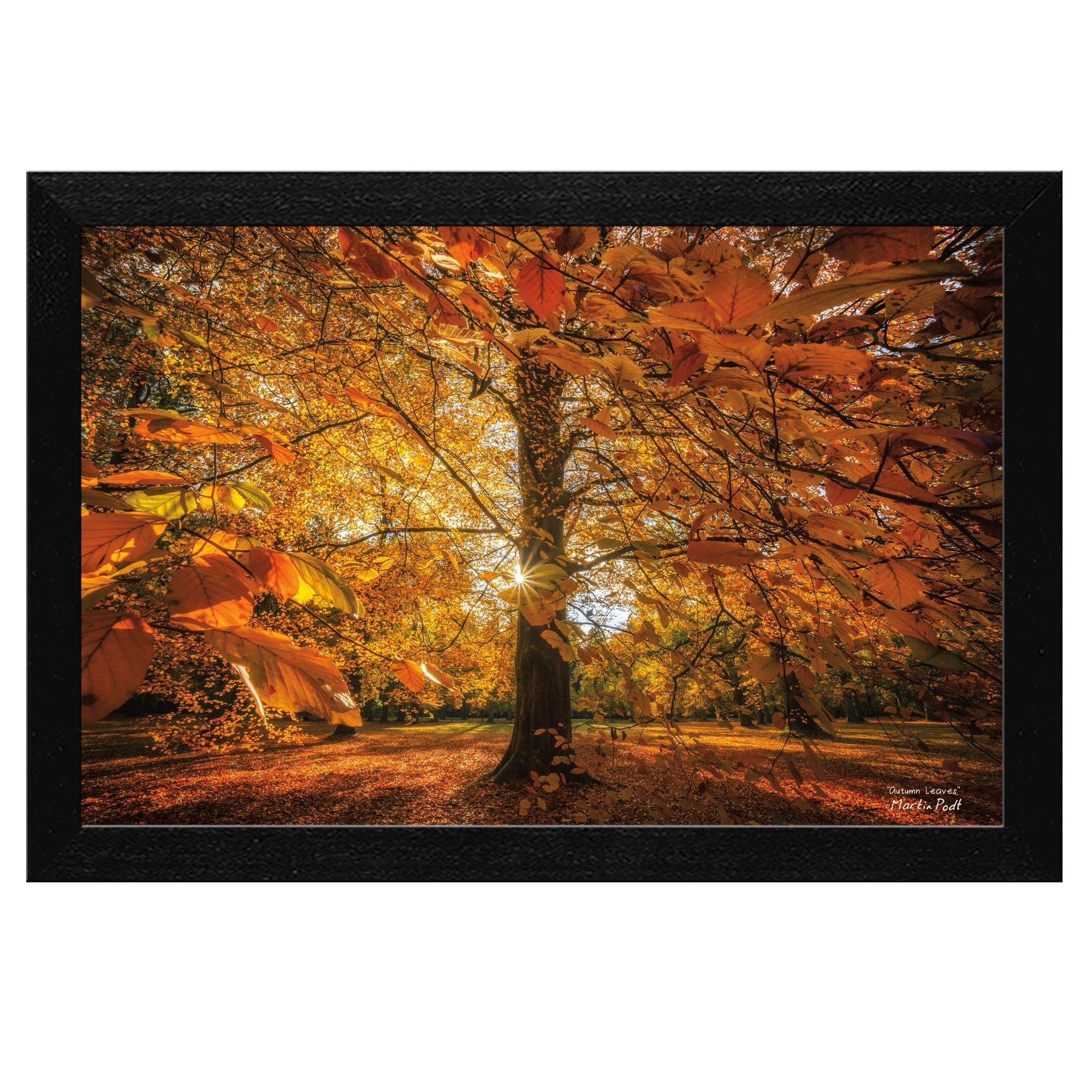 Autumn Leaves 4 Black Framed Print Wall Art-2