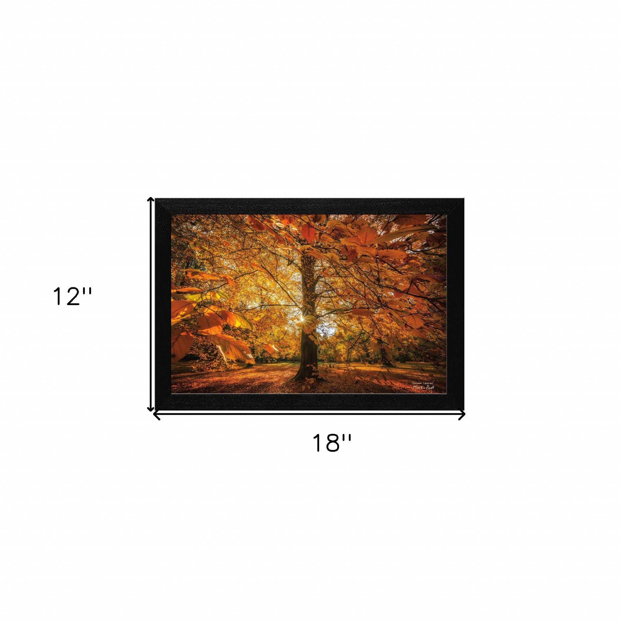 Autumn Leaves 4 Black Framed Print Wall Art-4