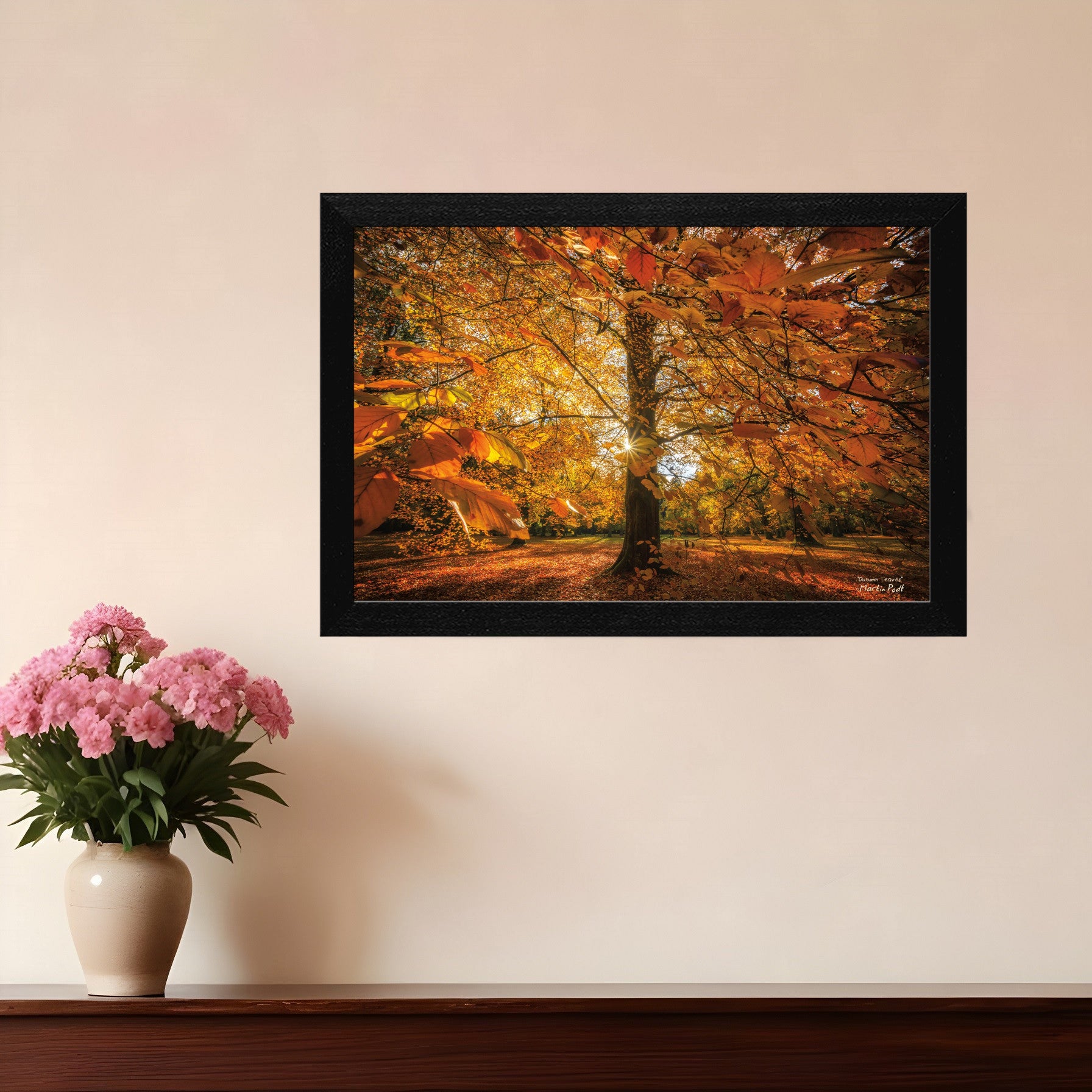 Autumn Leaves 4 Black Framed Print Wall Art-0