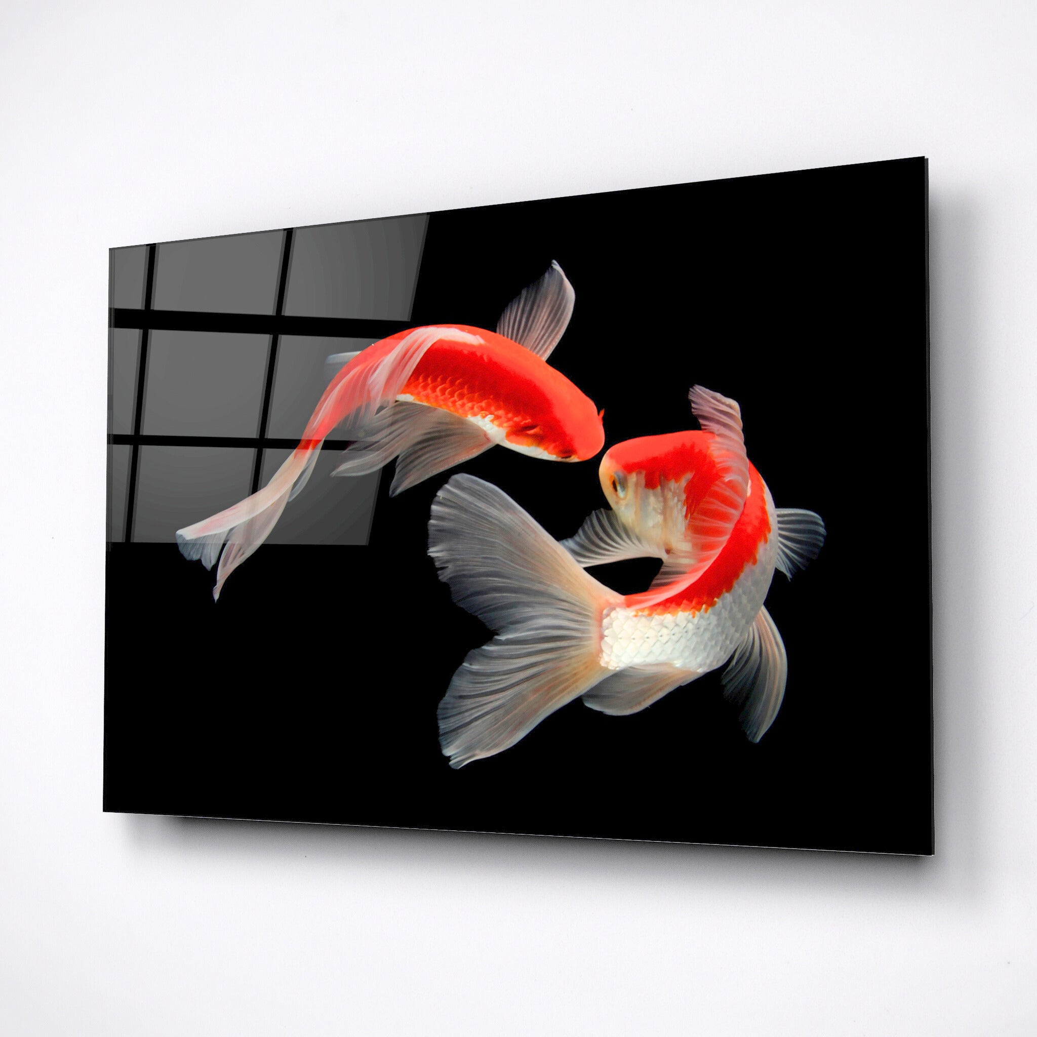 Red fish in an aquarium, Wall art Japan fish