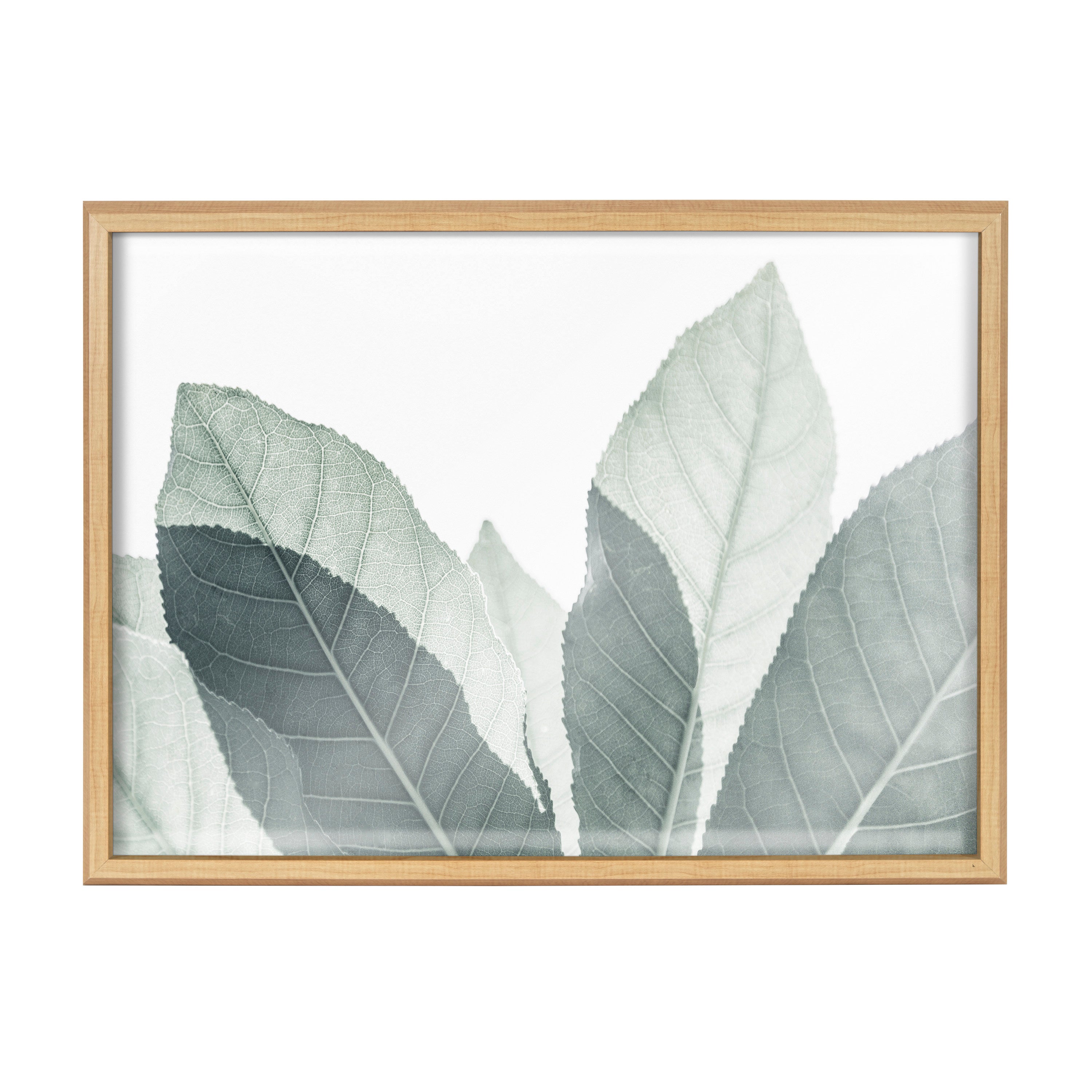 Blake Modern Green Leaf Botanical III Framed Printed Glass by The Creative Bunch Studio