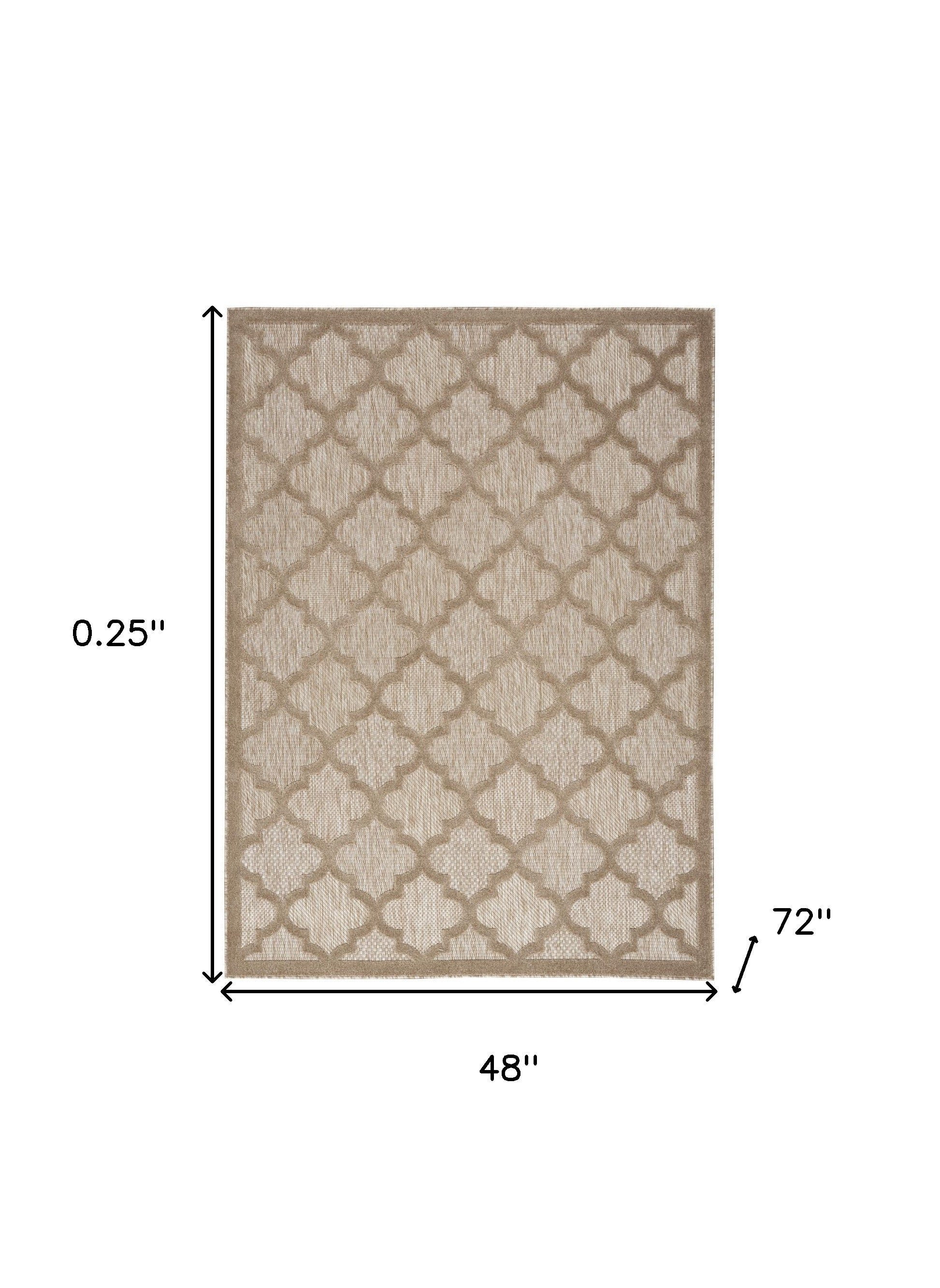 4' X 6' Natural Beige Ikat Indoor Outdoor Area Rug-4