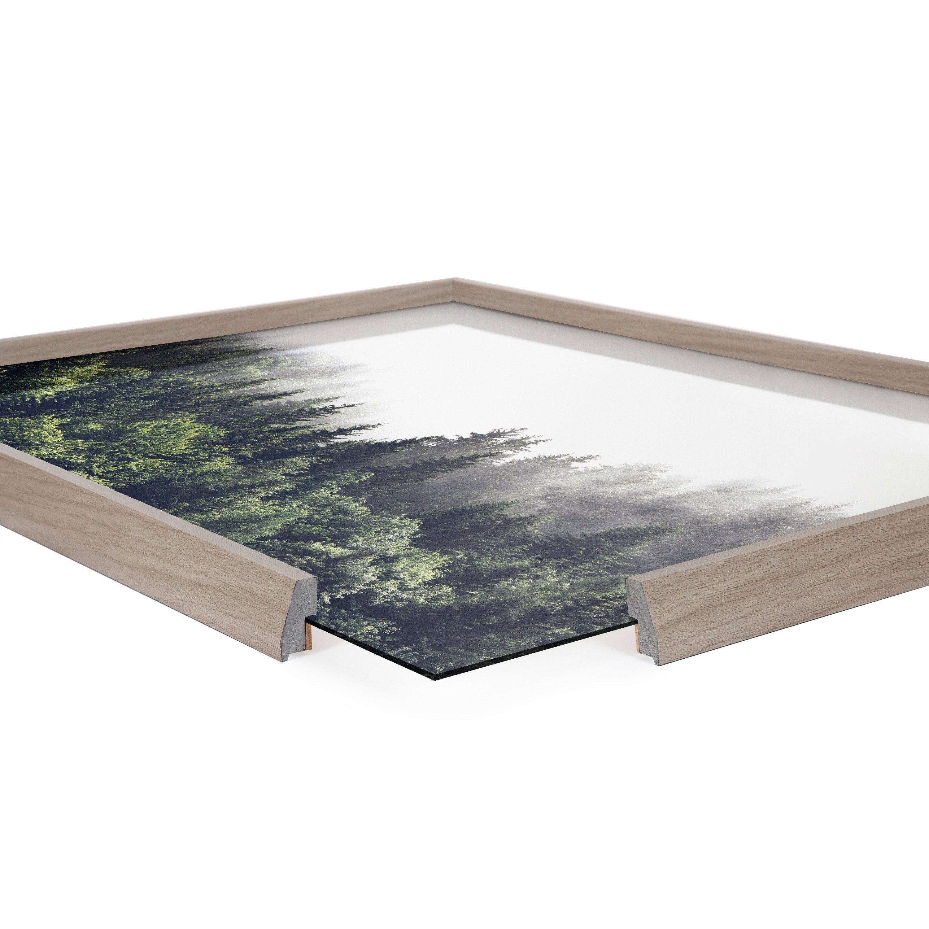 Blake Lush Green Forest on a Foggy Day Framed Printed Glass by The Creative Bunch Studio