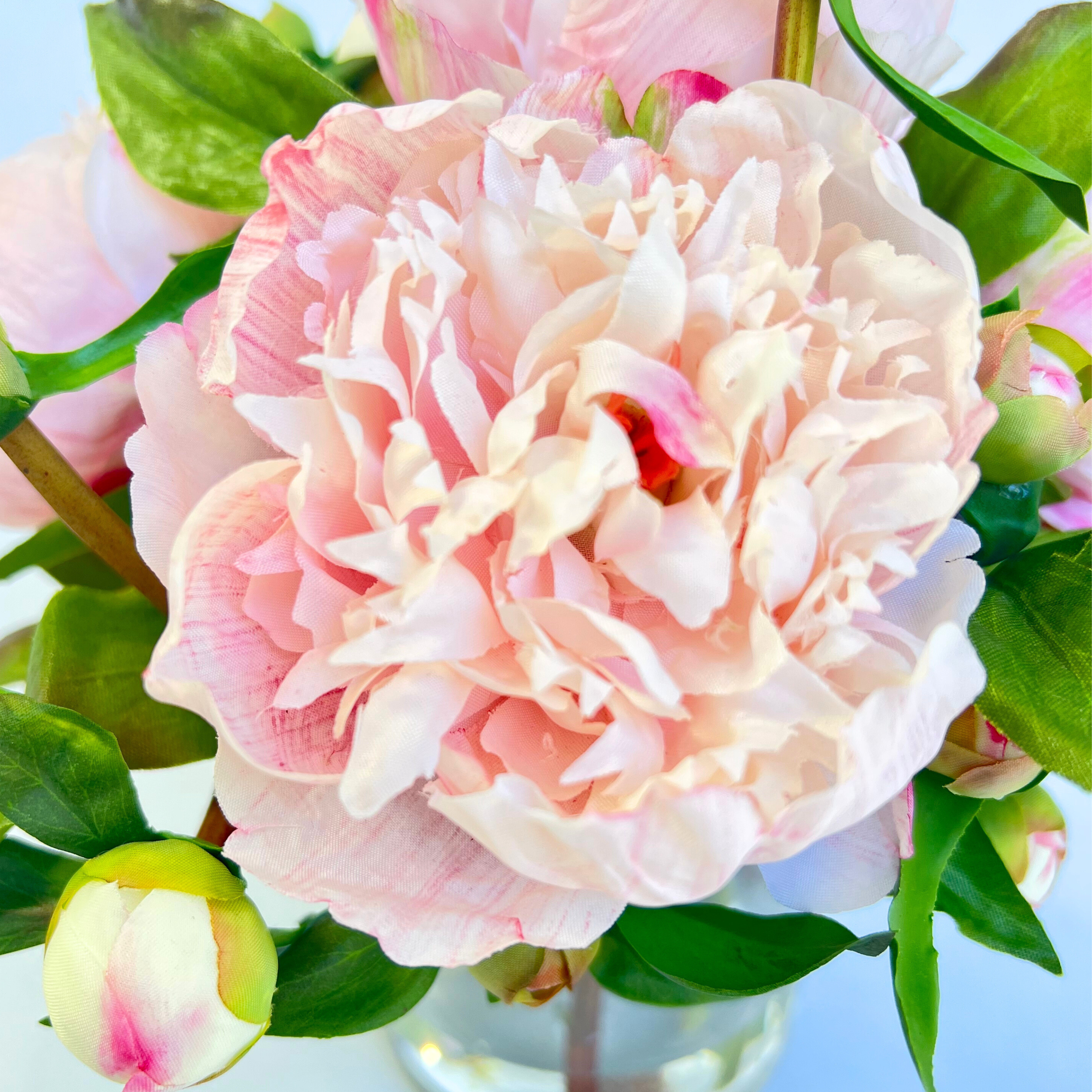 Real touch peony arrangement in vase - 10"