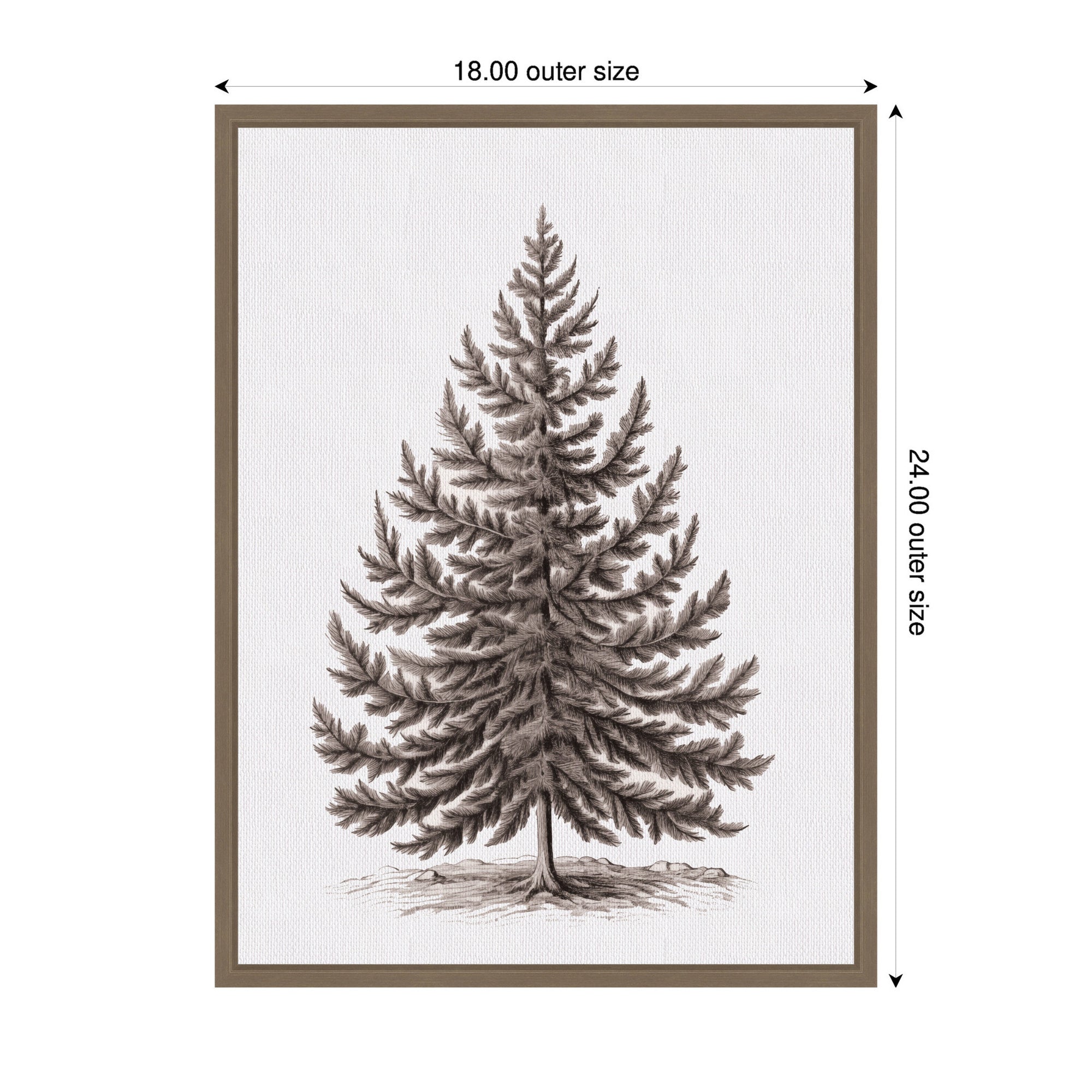 Sylvie Framed Canvas Vintage Evergreen Fir Tree lllustration I by The Creative Bunch Studio