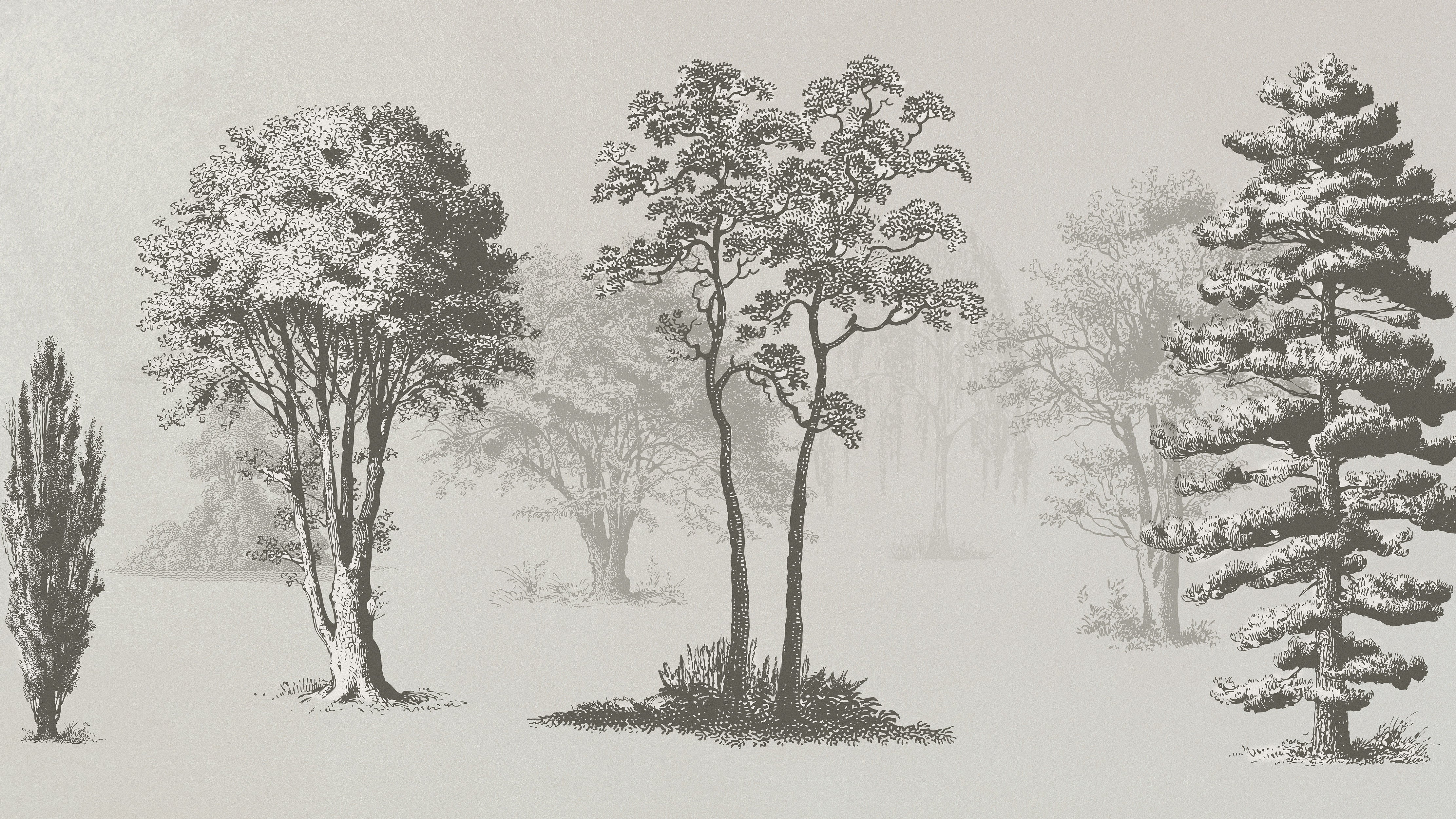 Vintage Forest Trees Wall Mural. Monochrome Abstract Sketched Art Design. Peel and Stick Wallpaper | Removable Wall Mural. #6329