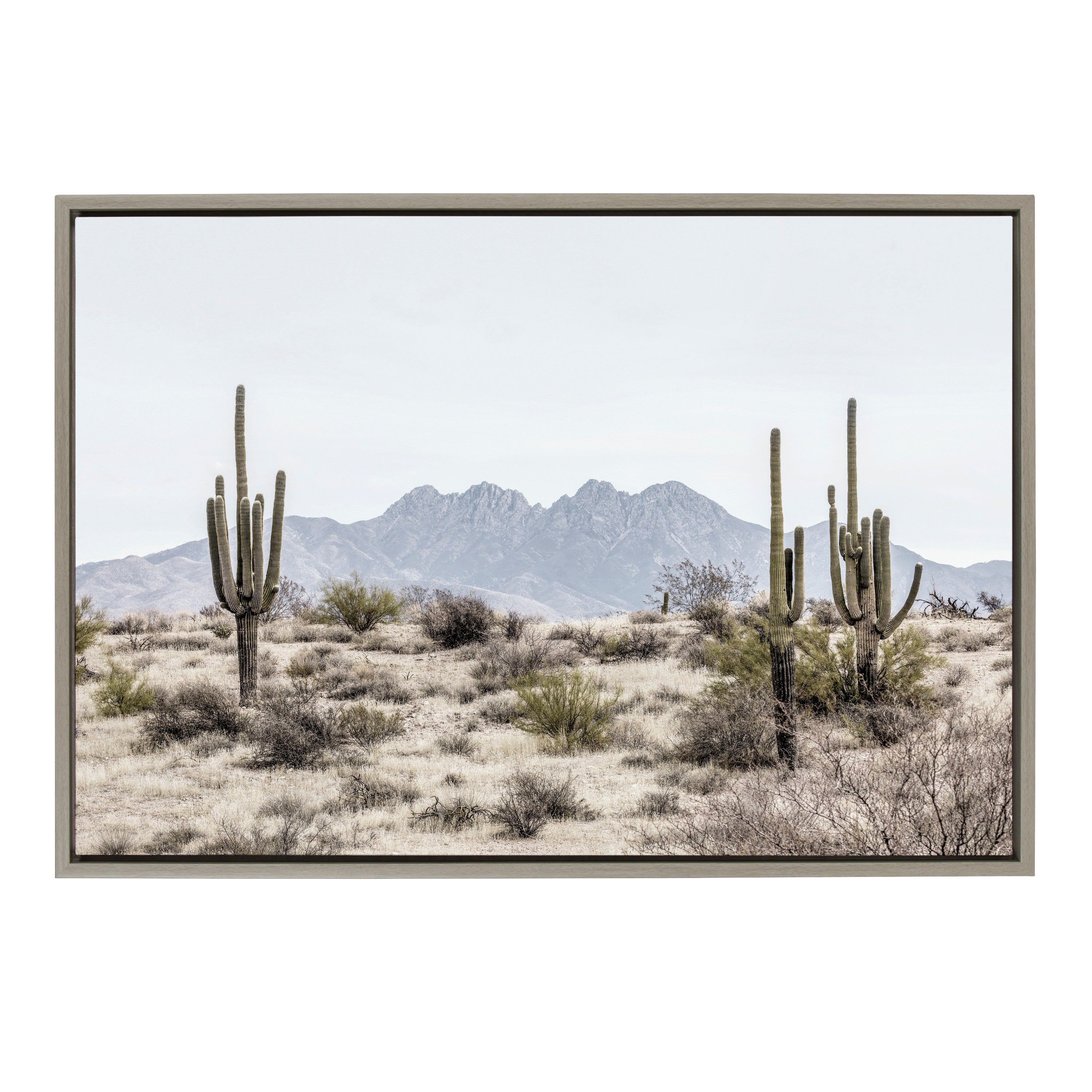Sylvie Tall Saguaro Cacti Desert Mountain Framed Canvas by The Creative Bunch Studio