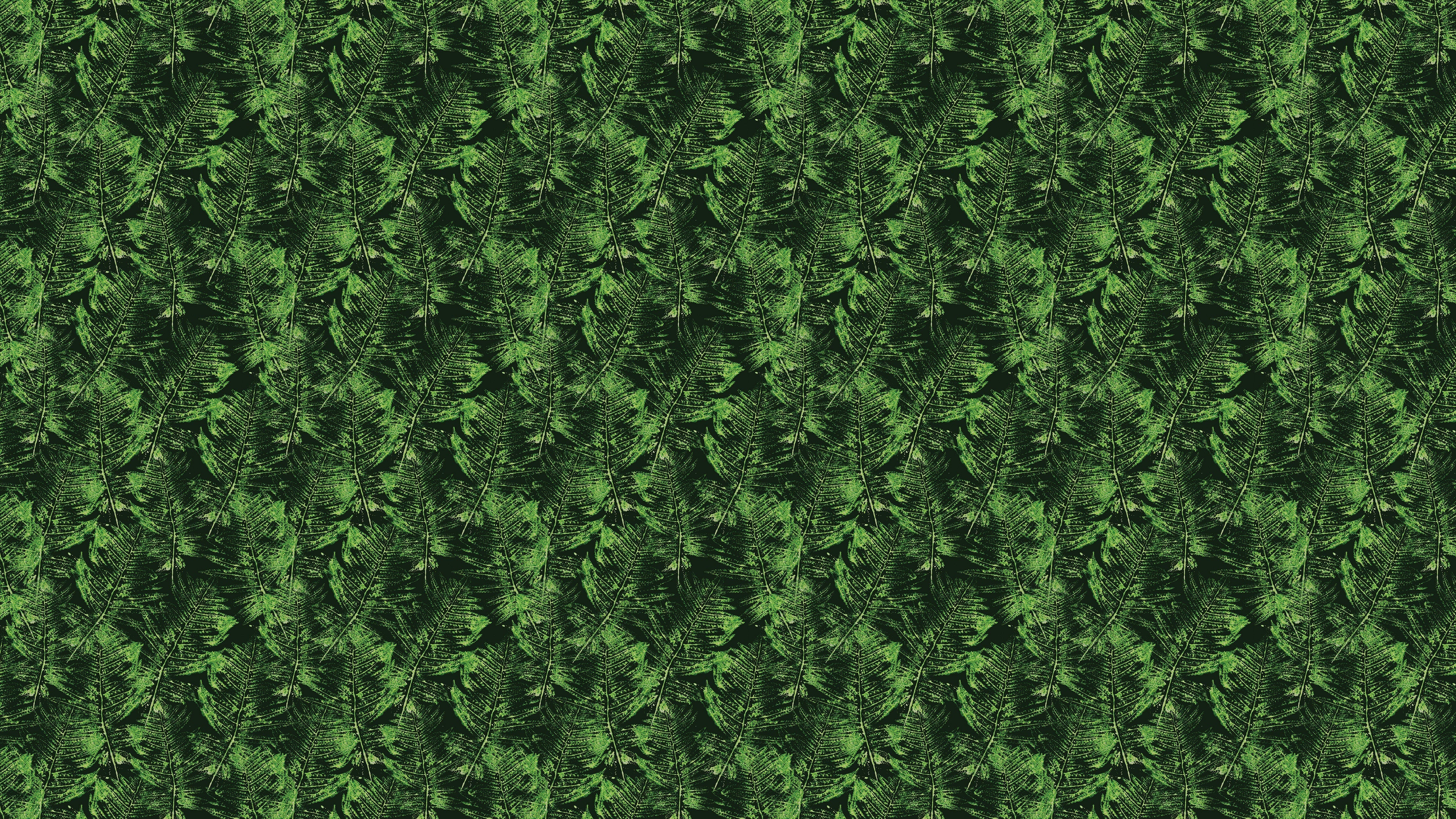 Green Leaves Pattern Wallpaper Mural. Botanical Wall Mural. #6744