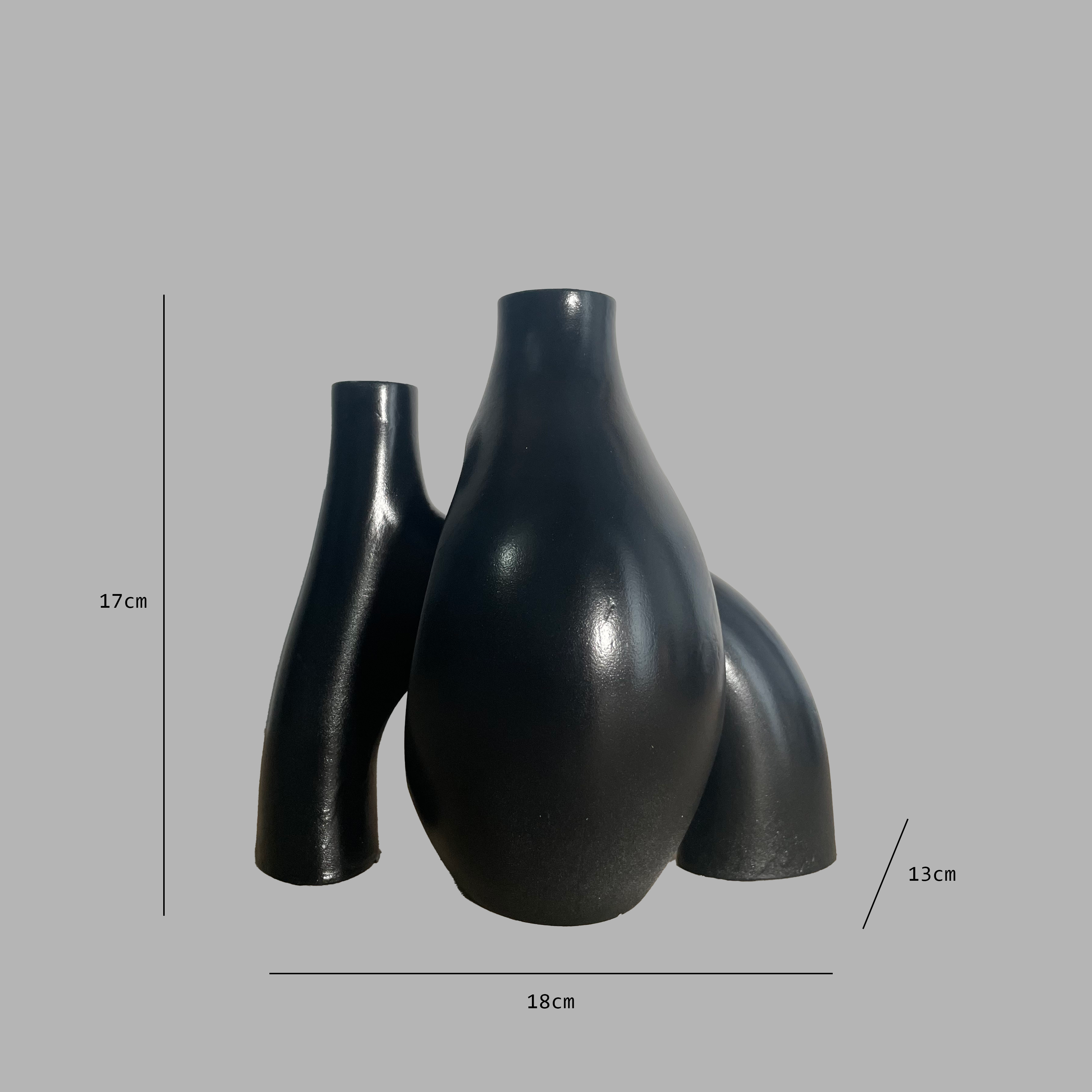 Twilight Dual Black Vase-3