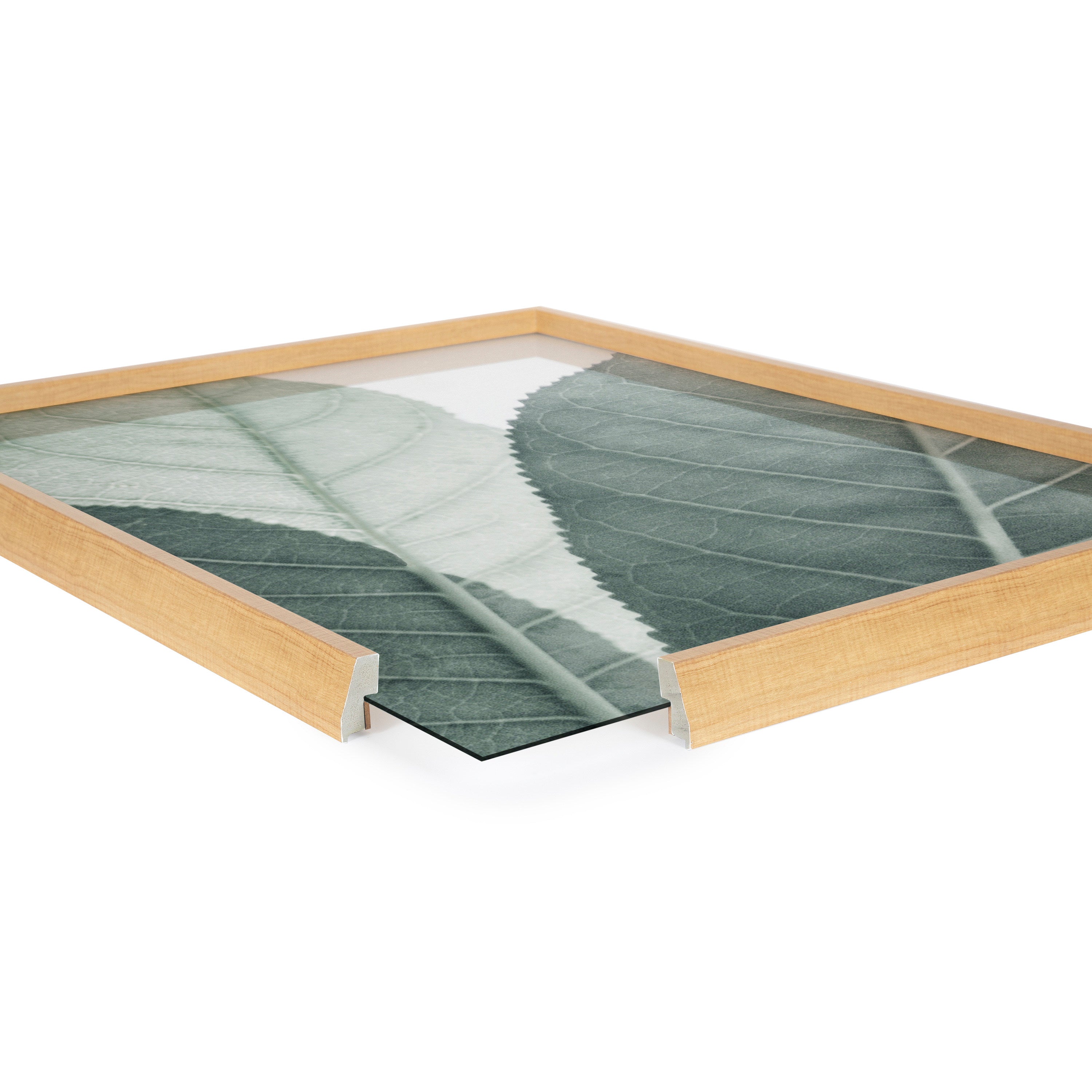 Blake Modern Green Leaf Botanical Framed Printed Glass by The Creative Bunch Studio