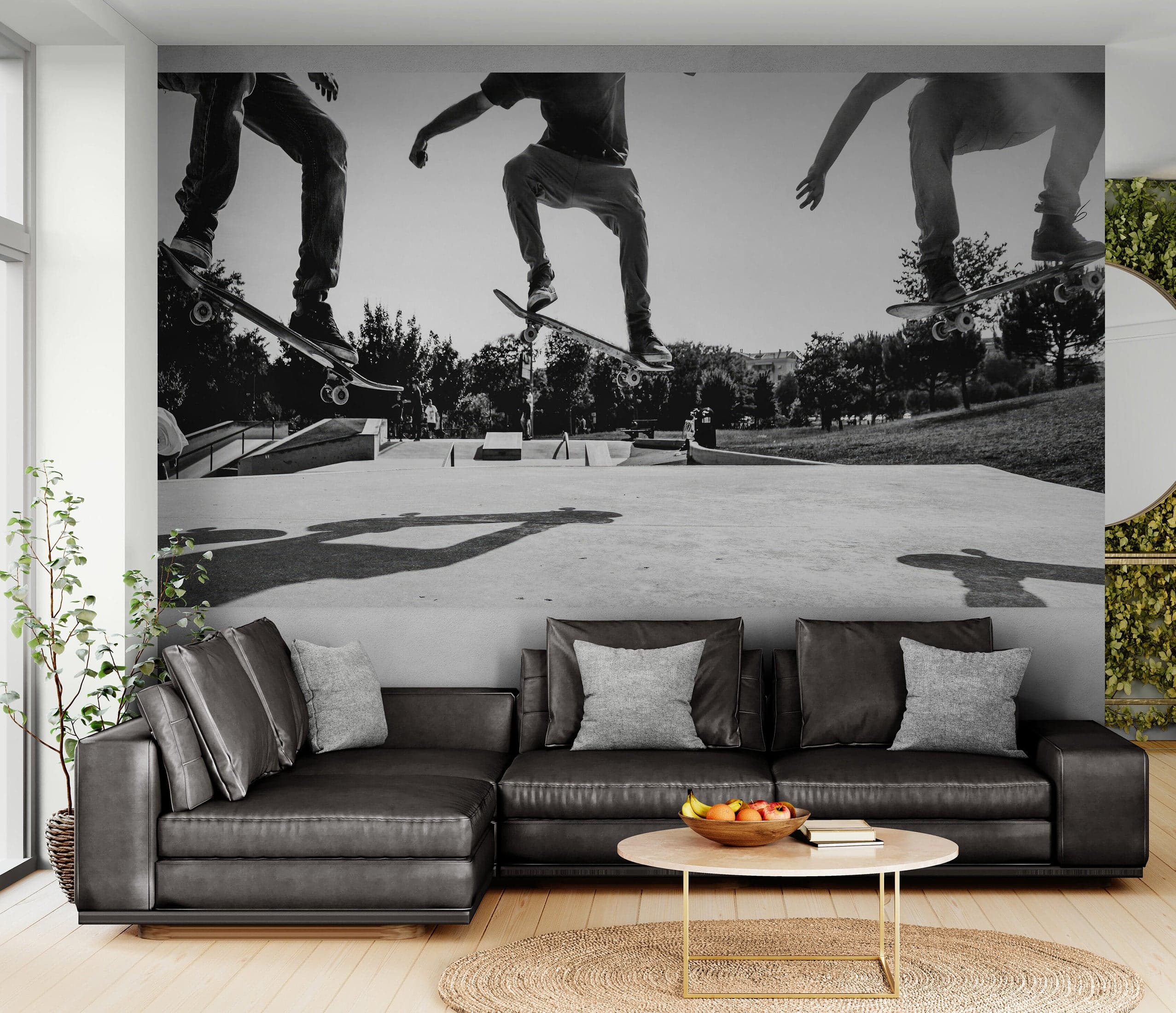 Skateboard Urban Park. Black and White Wall Mural. #7056