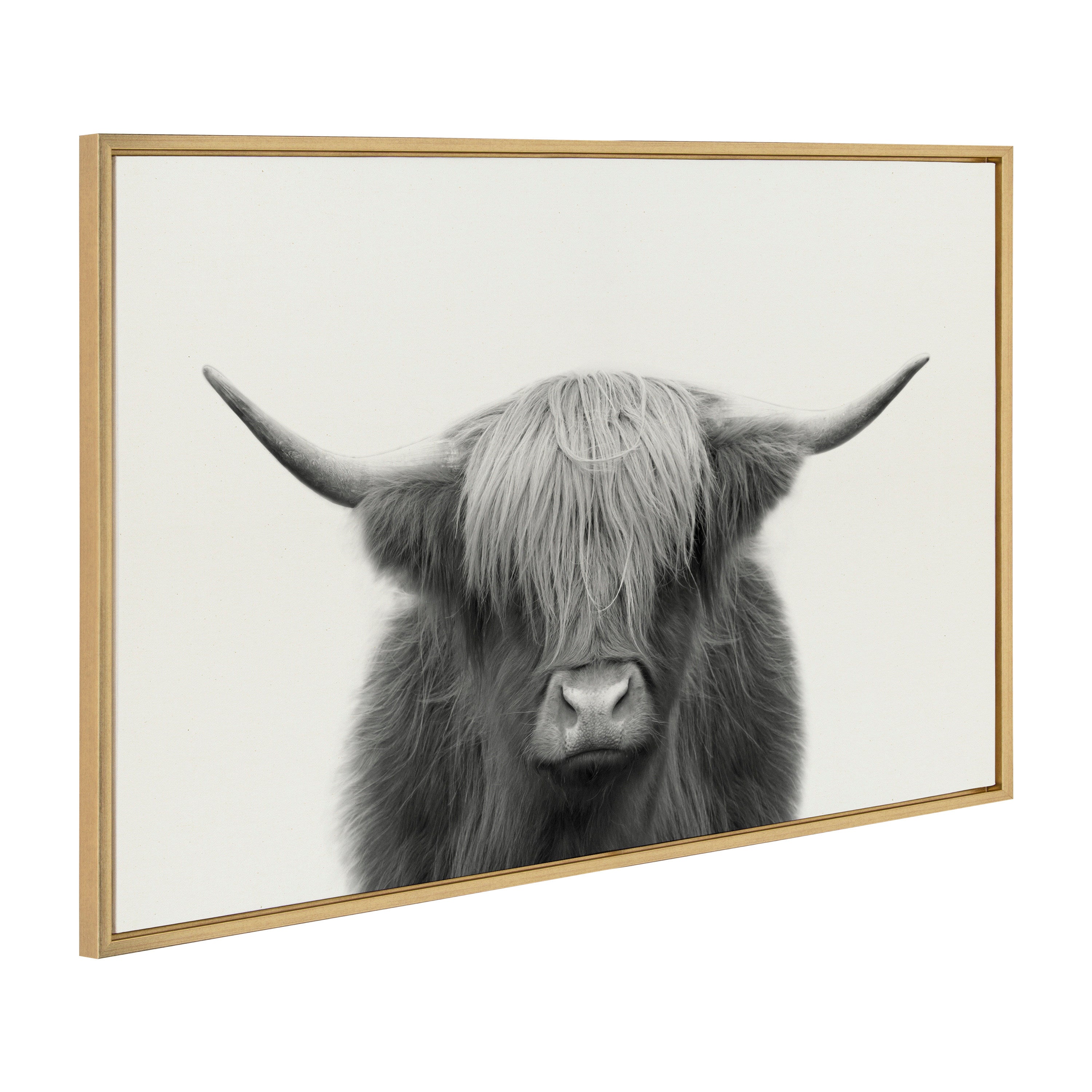 Sylvie Hey Dude Highland Cow Framed Linen Canvas by The Creative Bunch Studio