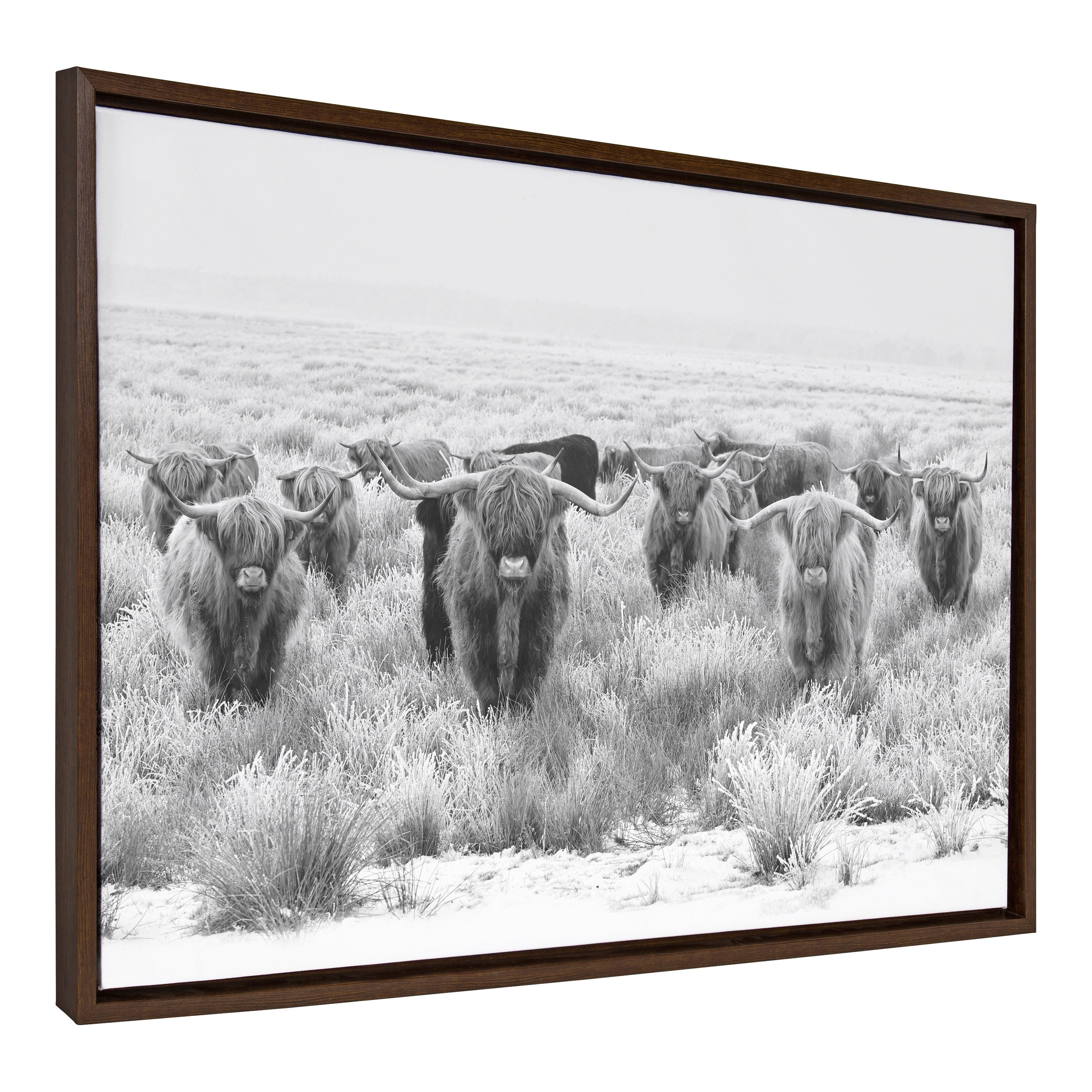 Sylvie Herd of Highland Cows Black and White Framed Canvas by The Creative Bunch Studio