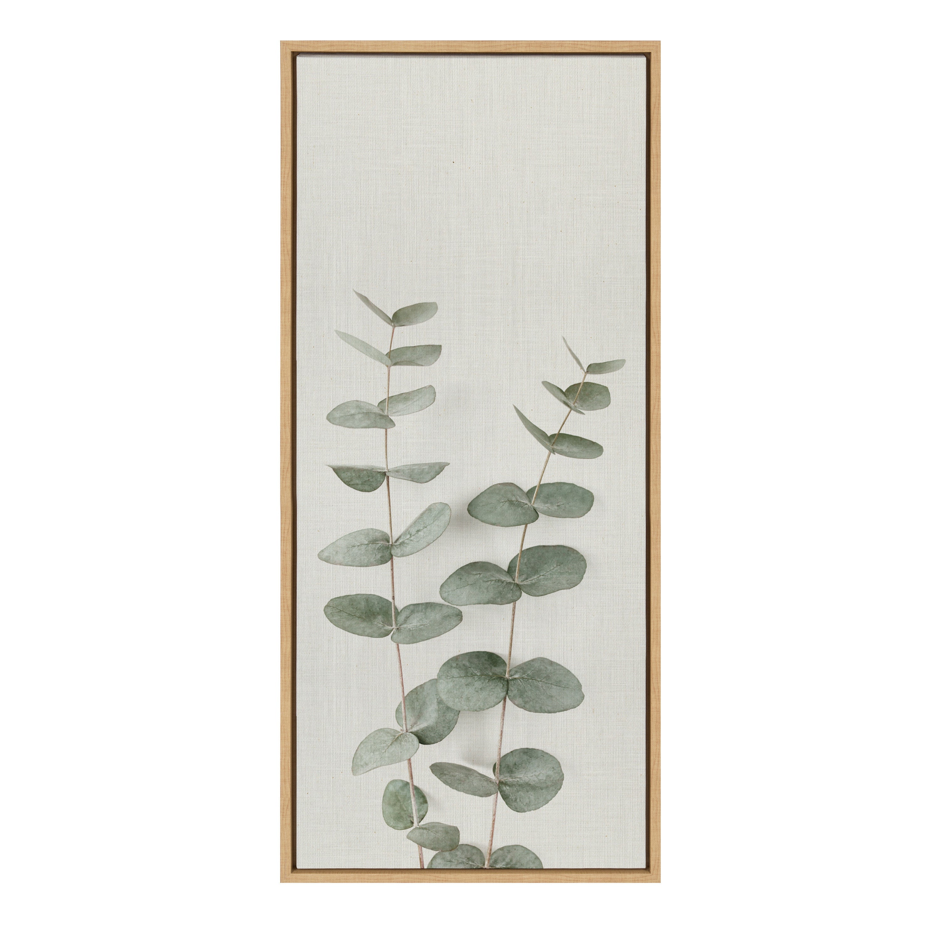 Sylvie Eucalyptus Botanical II Framed Canvas by The Creative Bunch Studio