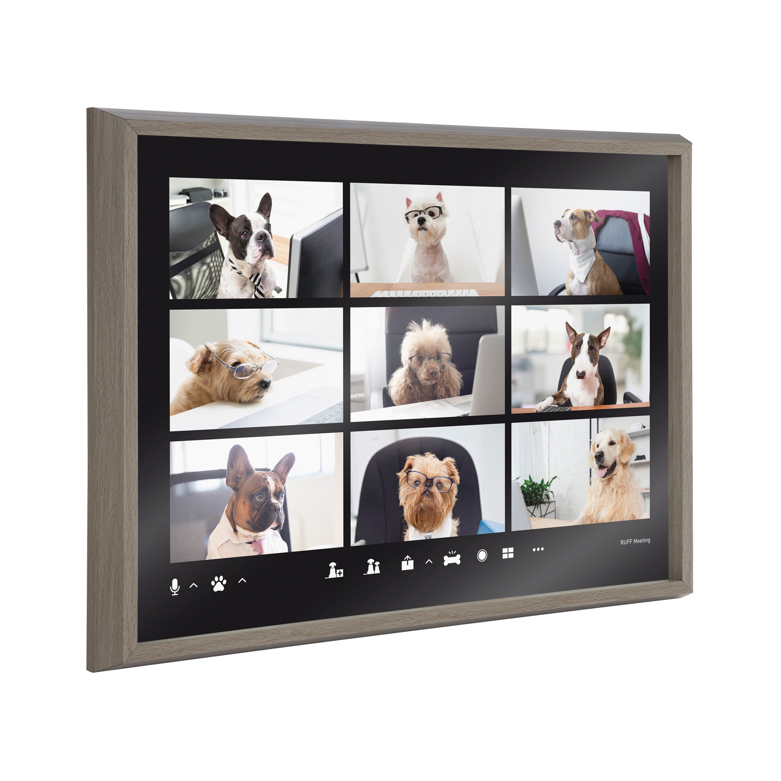 Blake Video Chat Dogs Framed Printed Glass by The Creative Bunch Studio