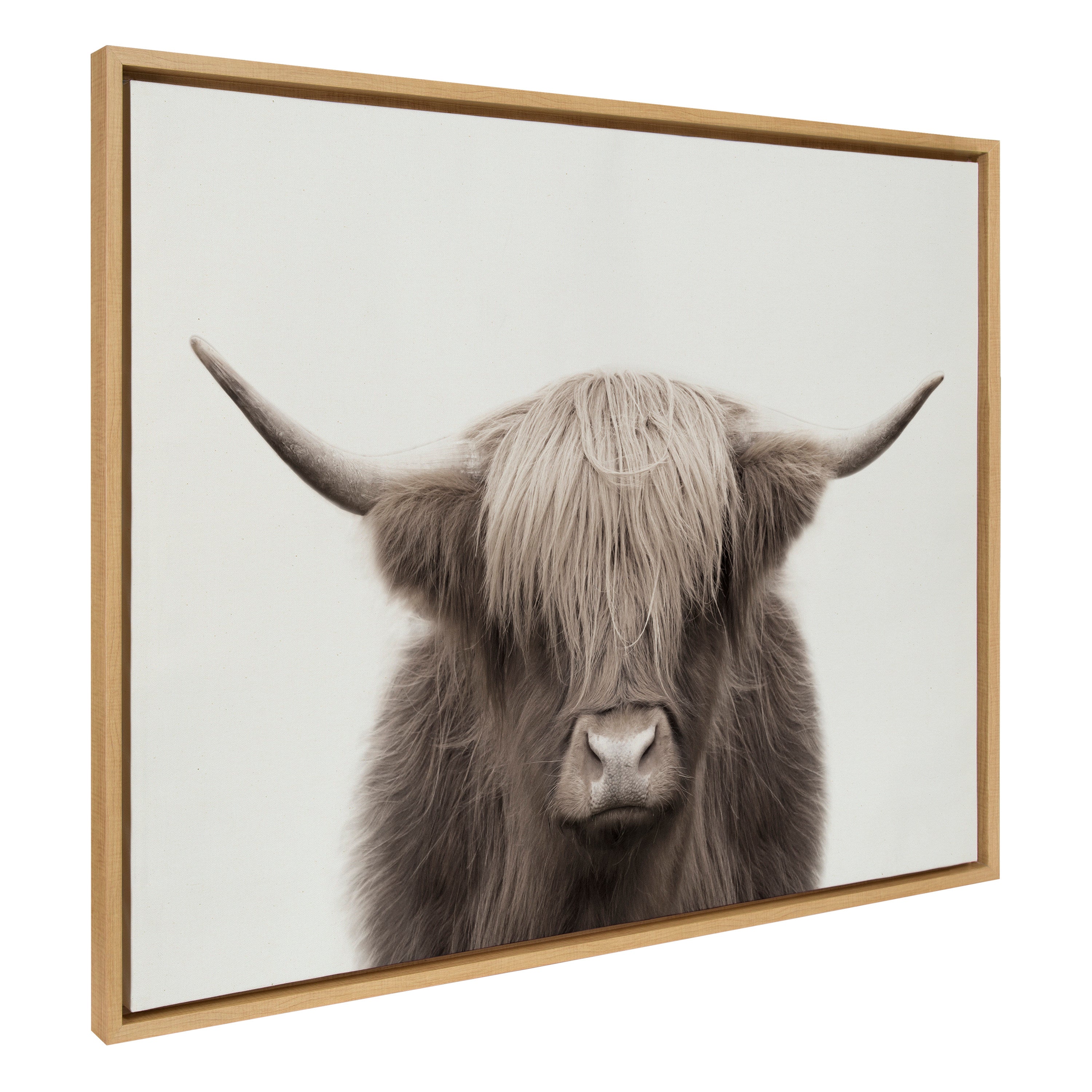 Sylvie Hey Dude Highland Cow Color Framed Canvas by The Creative Bunch Studio