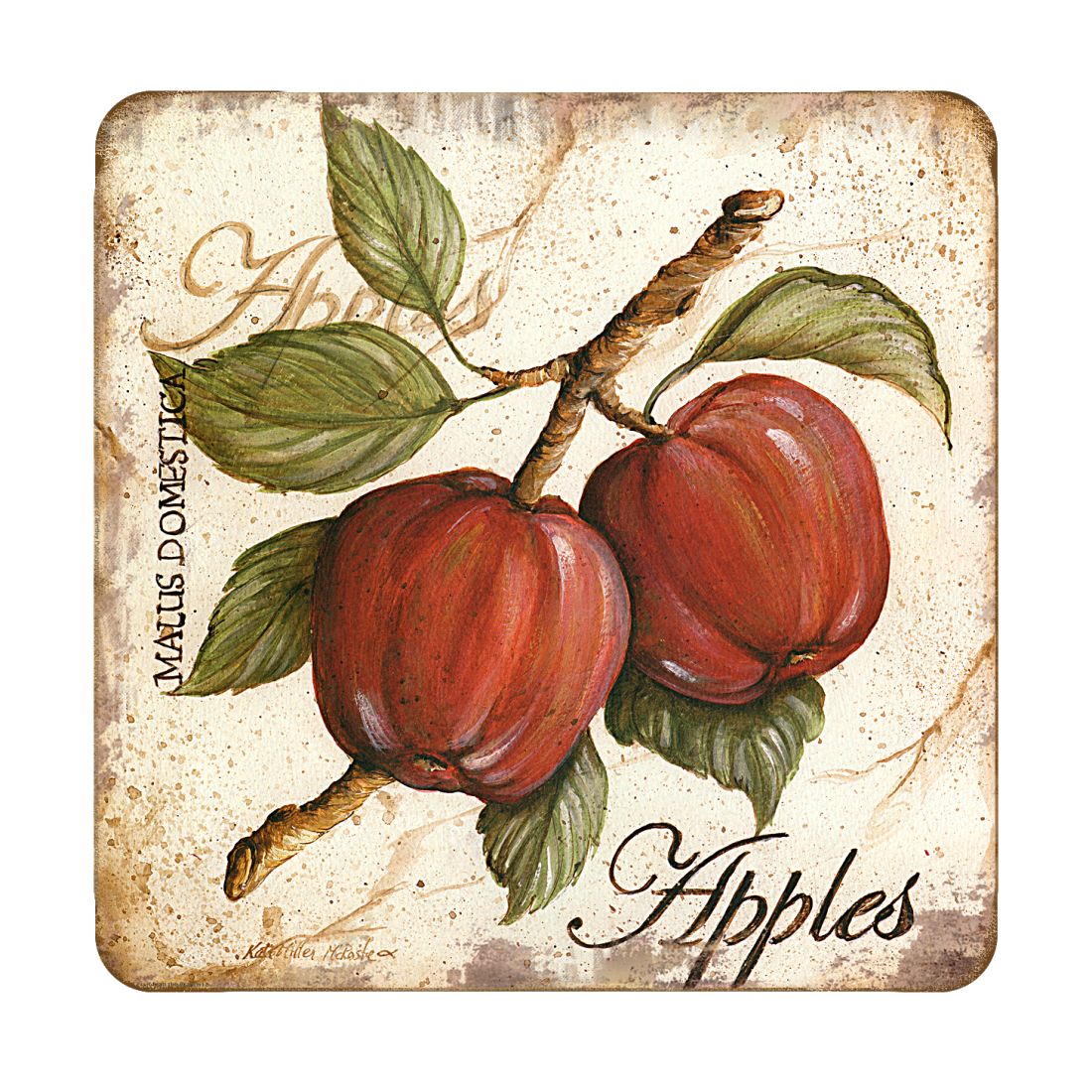 Apples Wooden Cork Coasters Gift Set of 4 by Nature Wonders | Nature Wildlife Décor  - 8198633C-S4-2