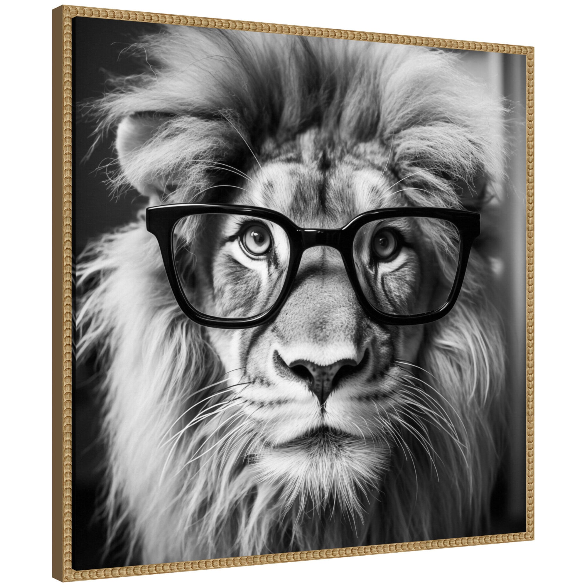 Sylvie Black and White Lion in Reading Glasses Framed Canvas by The Creative Bunch Studio