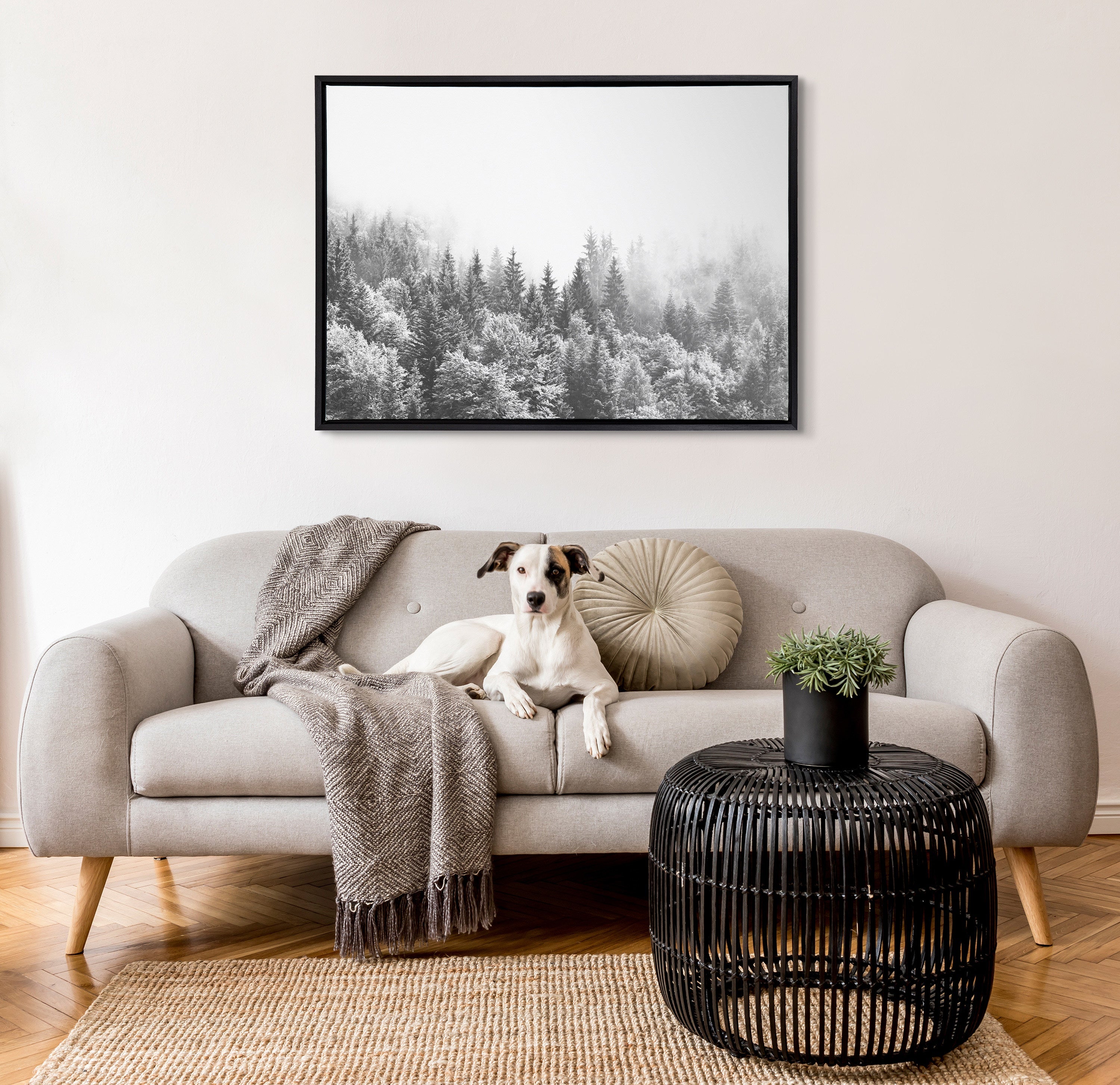 Sylvie Forest On A Foggy Day BW Framed Canvas by The Creative Bunch Studio