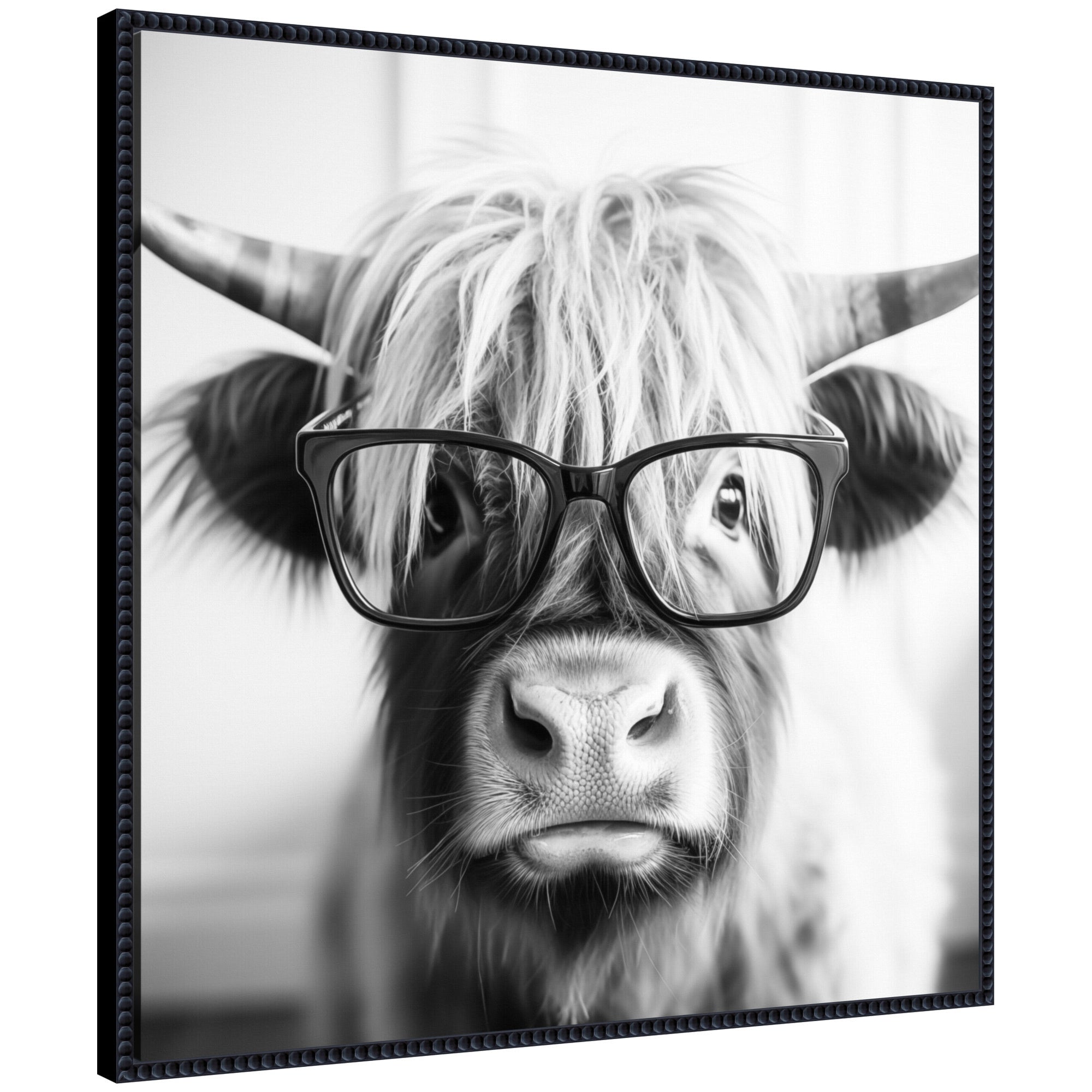 Sylvie Black and White Highland Cow in Reading Glasses Framed Canvas by The Creative Bunch Studio
