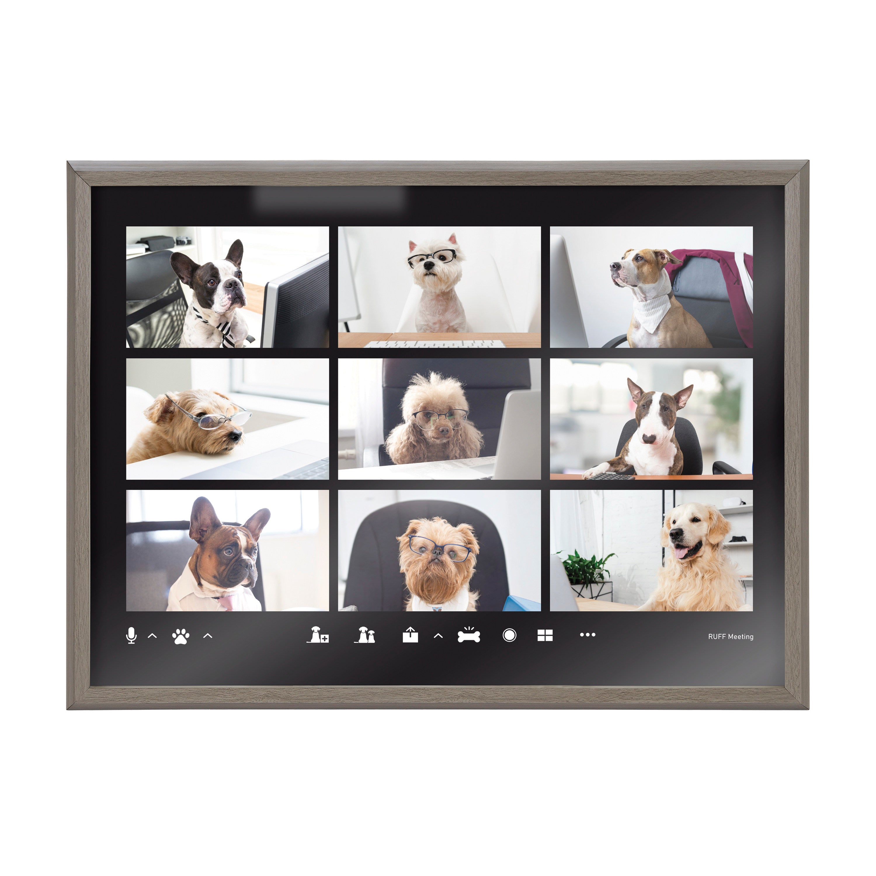 Blake Video Chat Dogs Framed Printed Glass by The Creative Bunch Studio