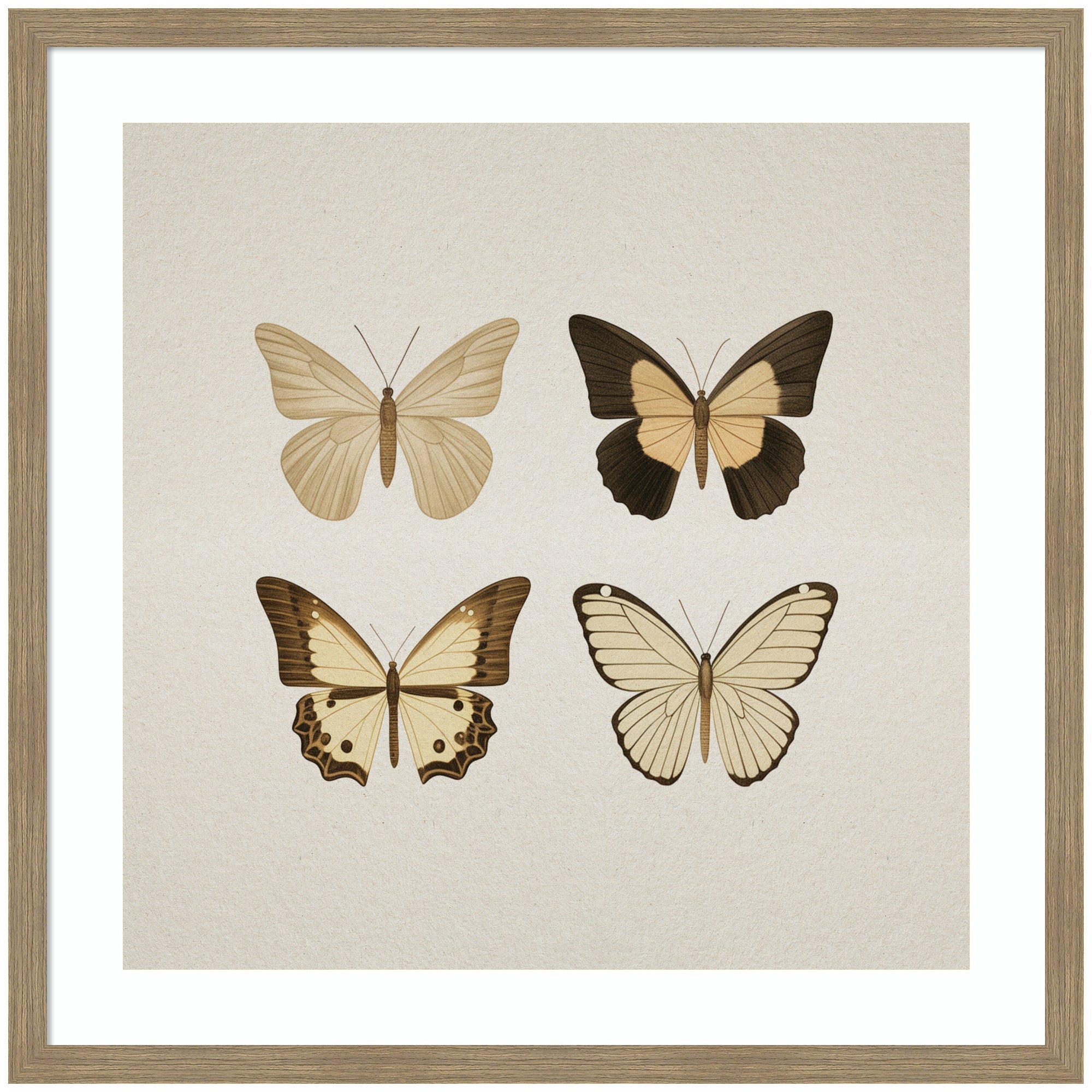 Framed Art Vintage Style Butterflies in Neutral Tones by The Creative Bunch Studio