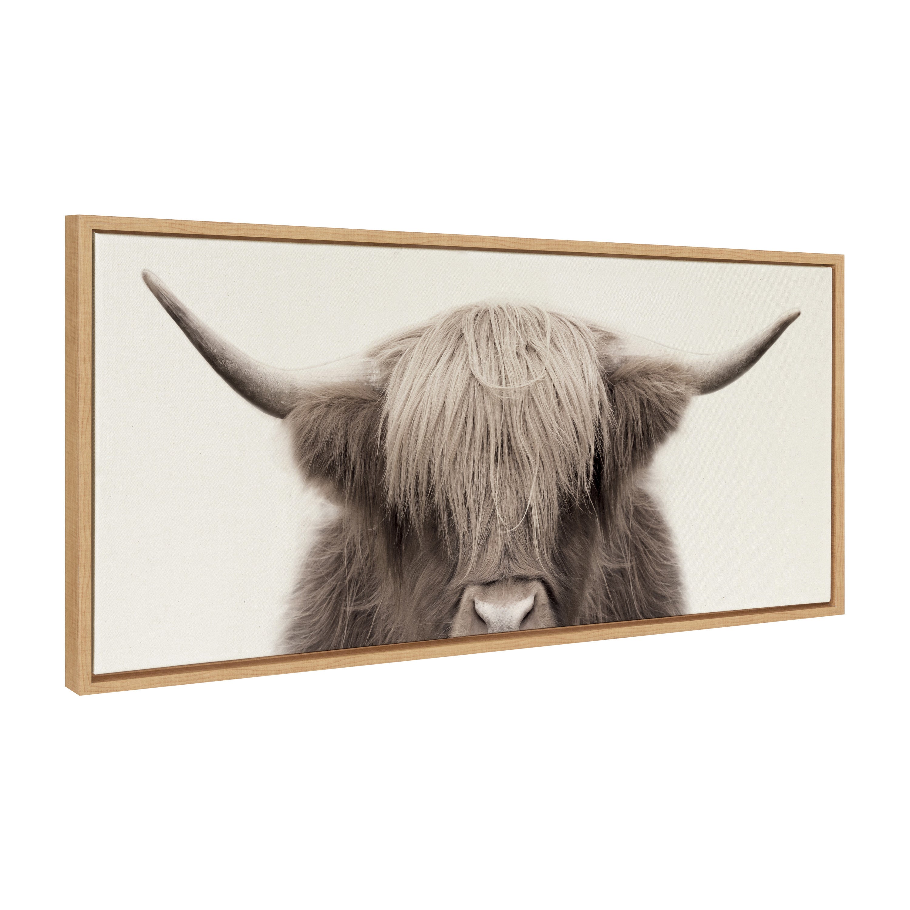 Sylvie Hey Dude Highland Cow Color Framed Canvas by The Creative Bunch Studio