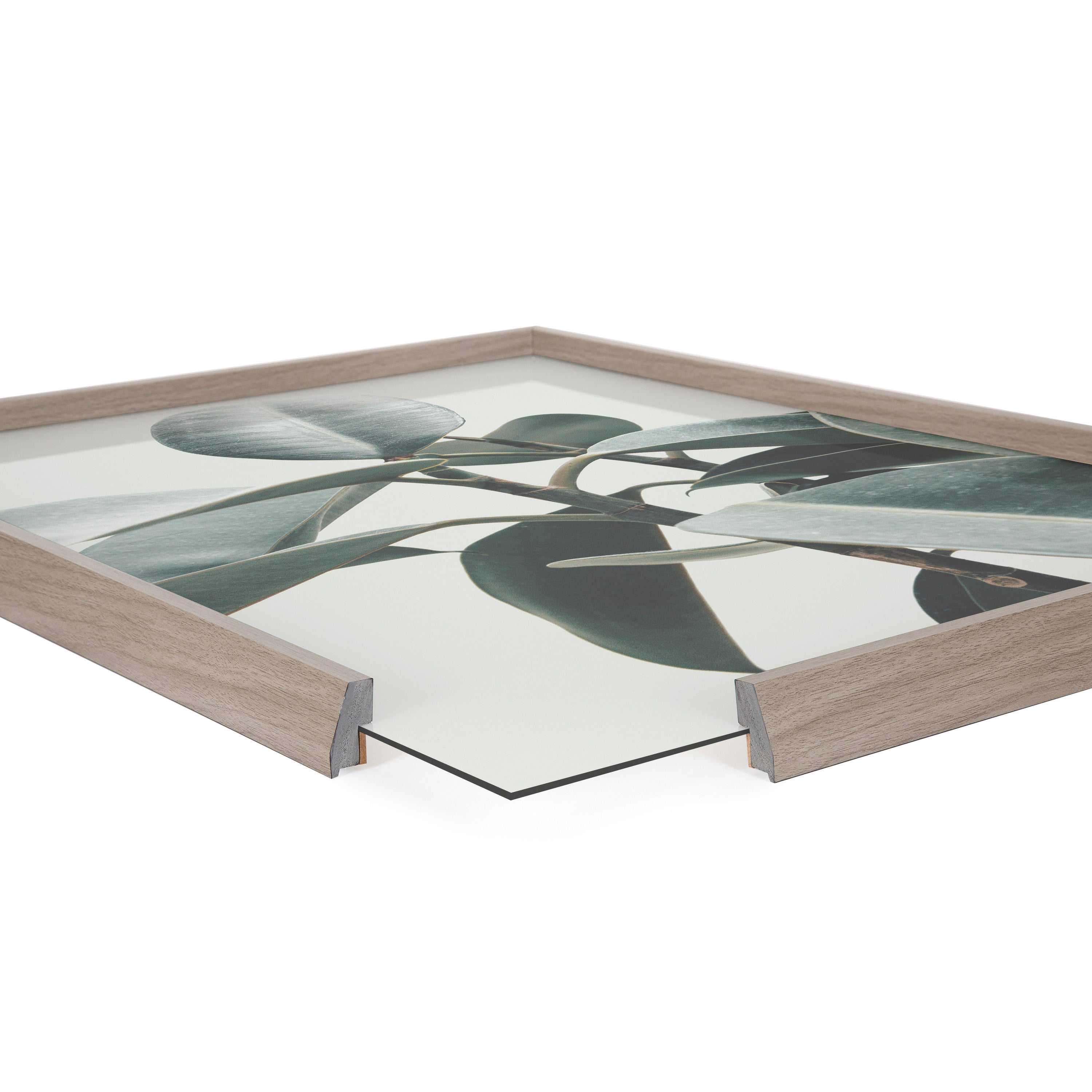 Blake Plant Mom Green Houseplant Framed Printed Glass by The Creative Bunch Studio