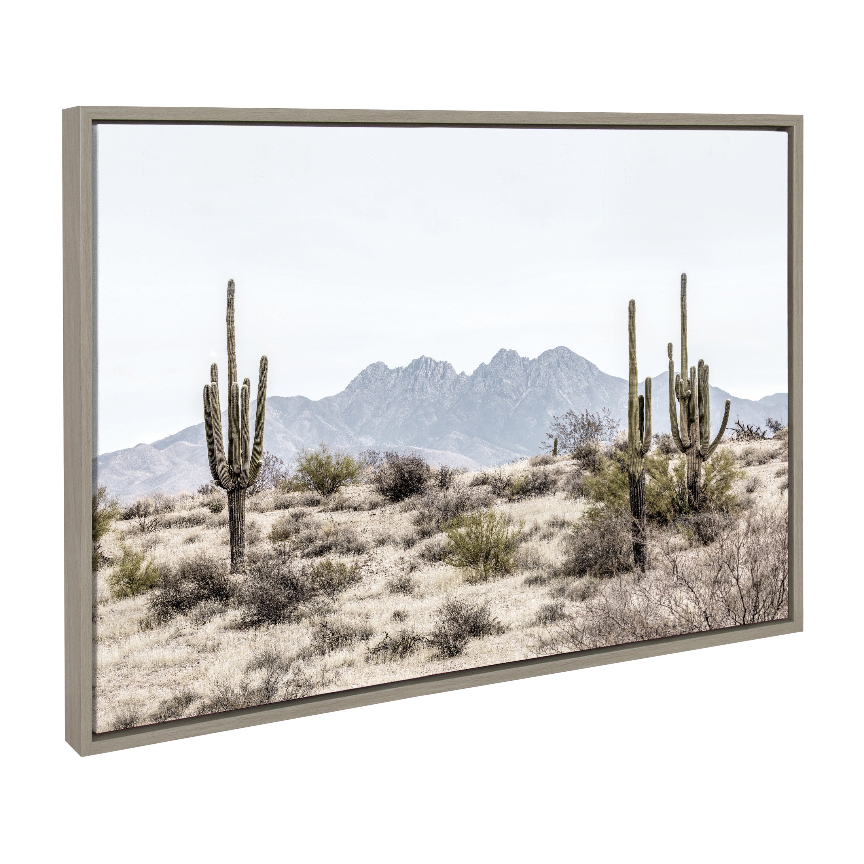 Sylvie Tall Saguaro Cacti Desert Mountain Framed Canvas by The Creative Bunch Studio