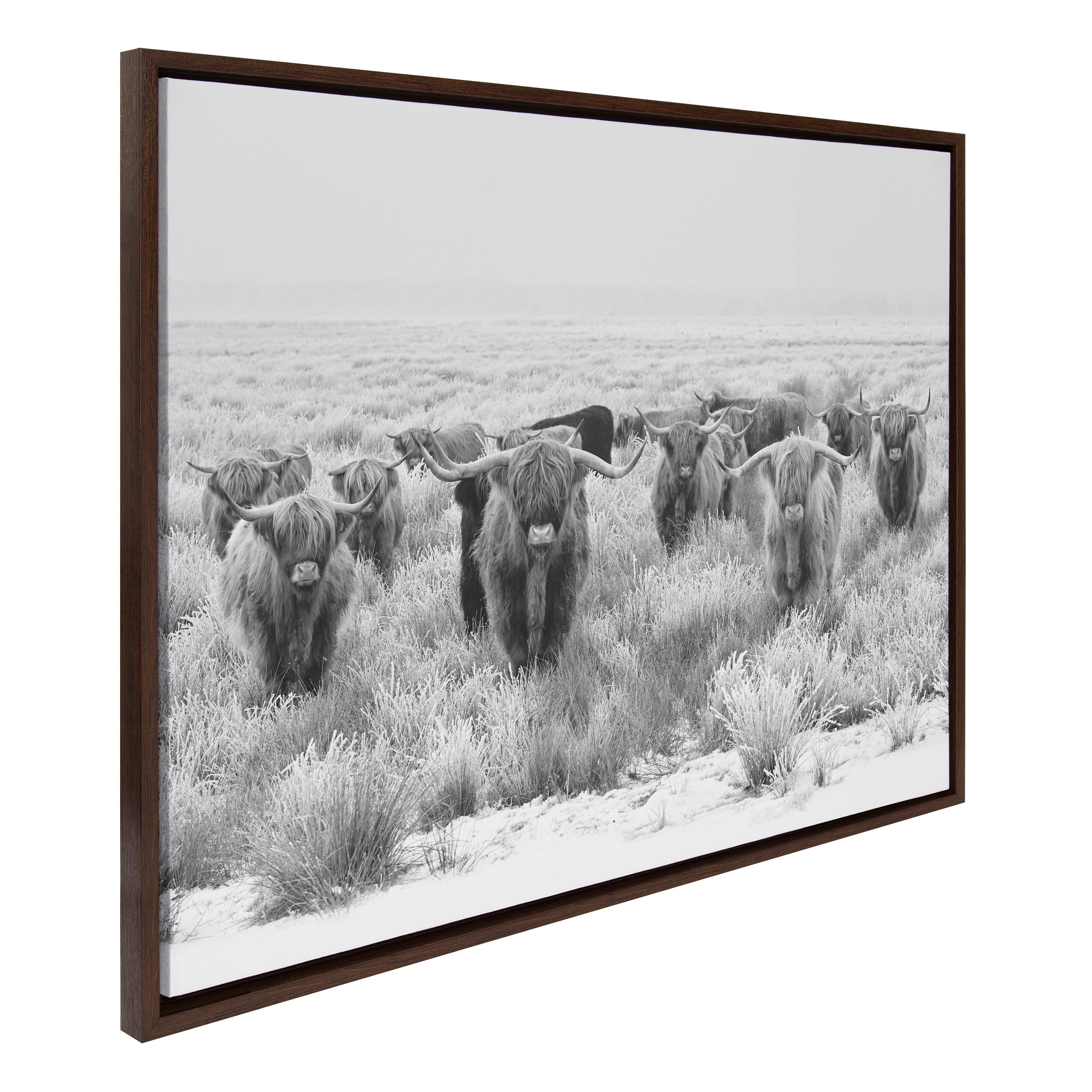 Sylvie Herd of Highland Cows Black and White Framed Canvas by The Creative Bunch Studio