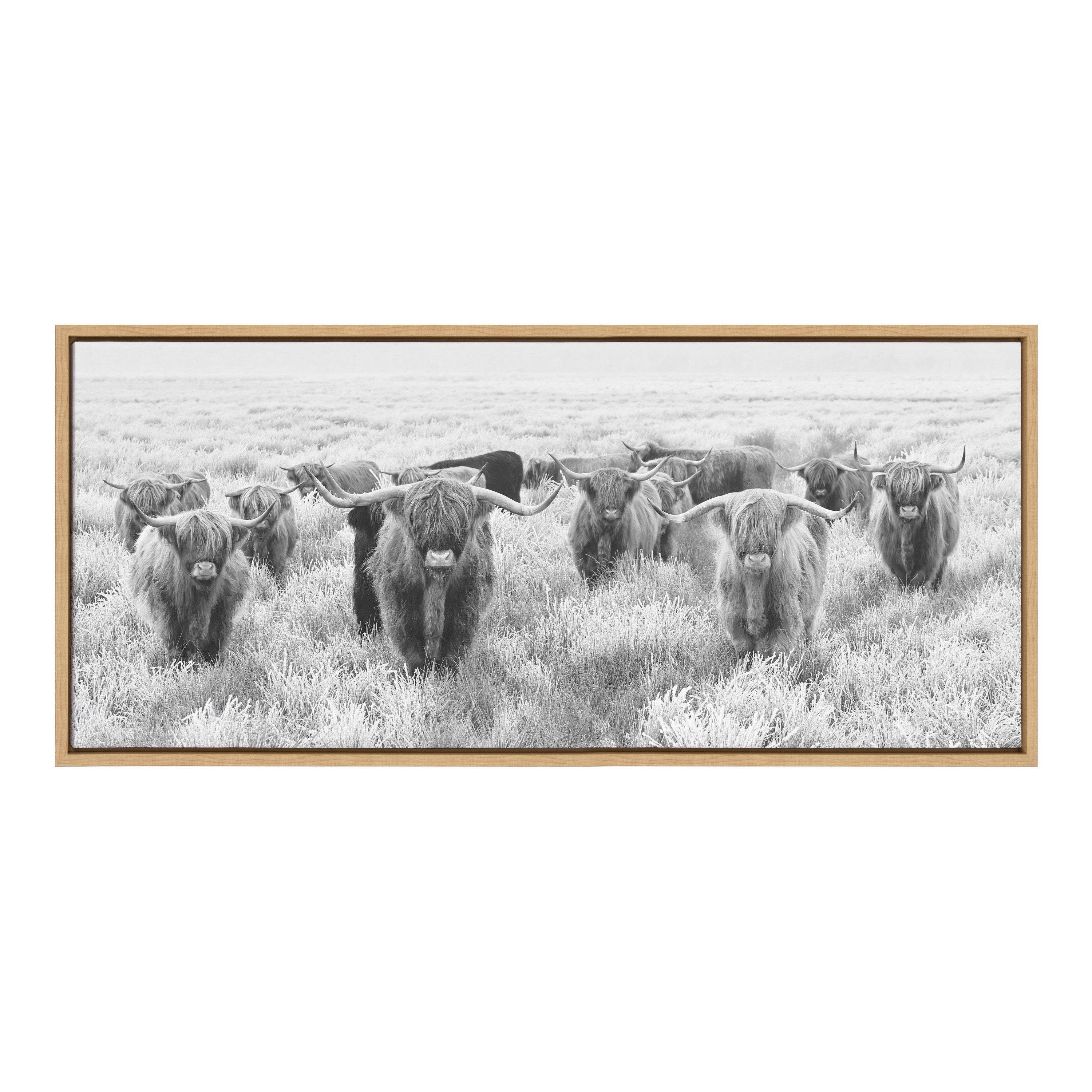 Sylvie Herd of Highland Cows Black and White Framed Canvas by The Creative Bunch Studio