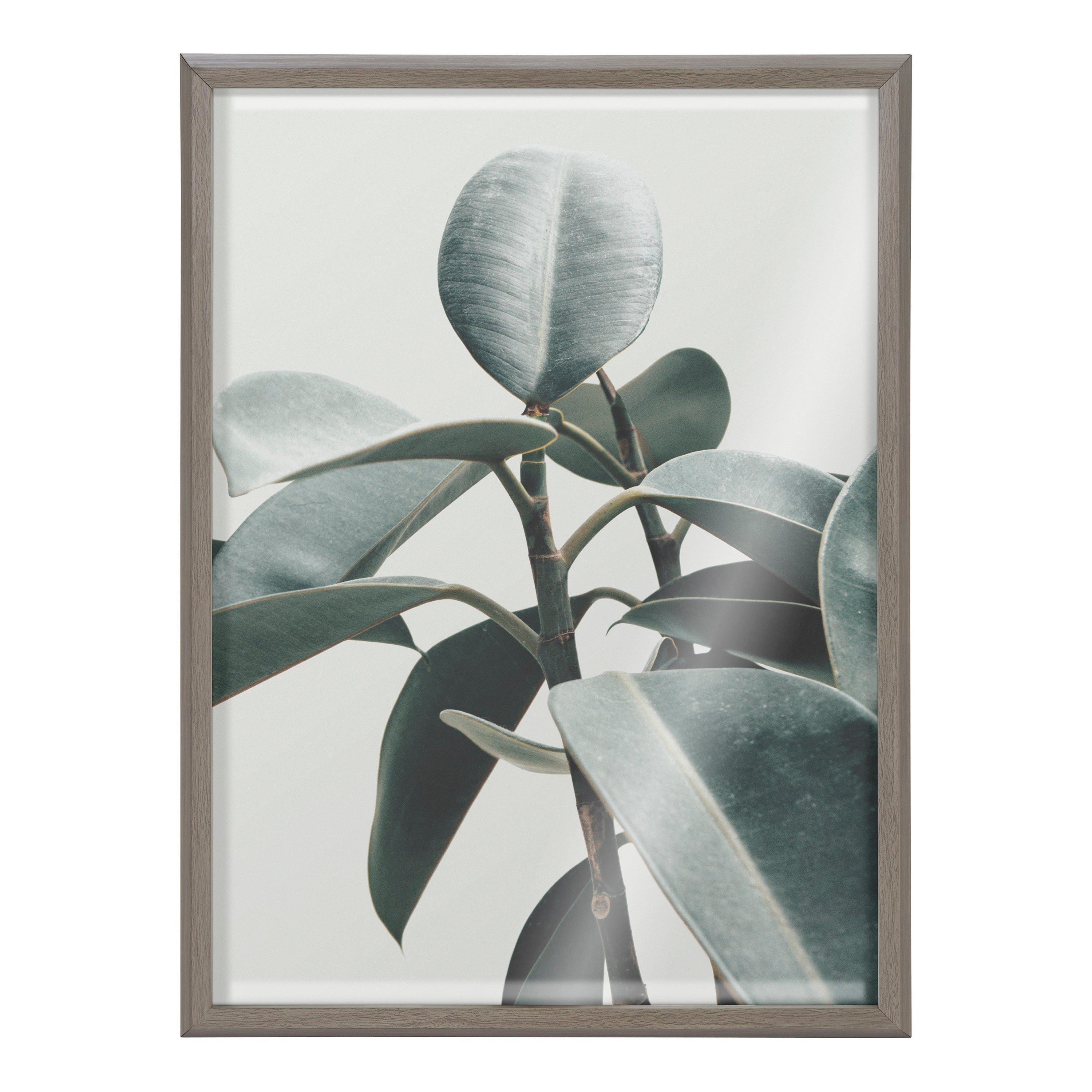 Blake Plant Mom Green Houseplant Framed Printed Glass by The Creative Bunch Studio