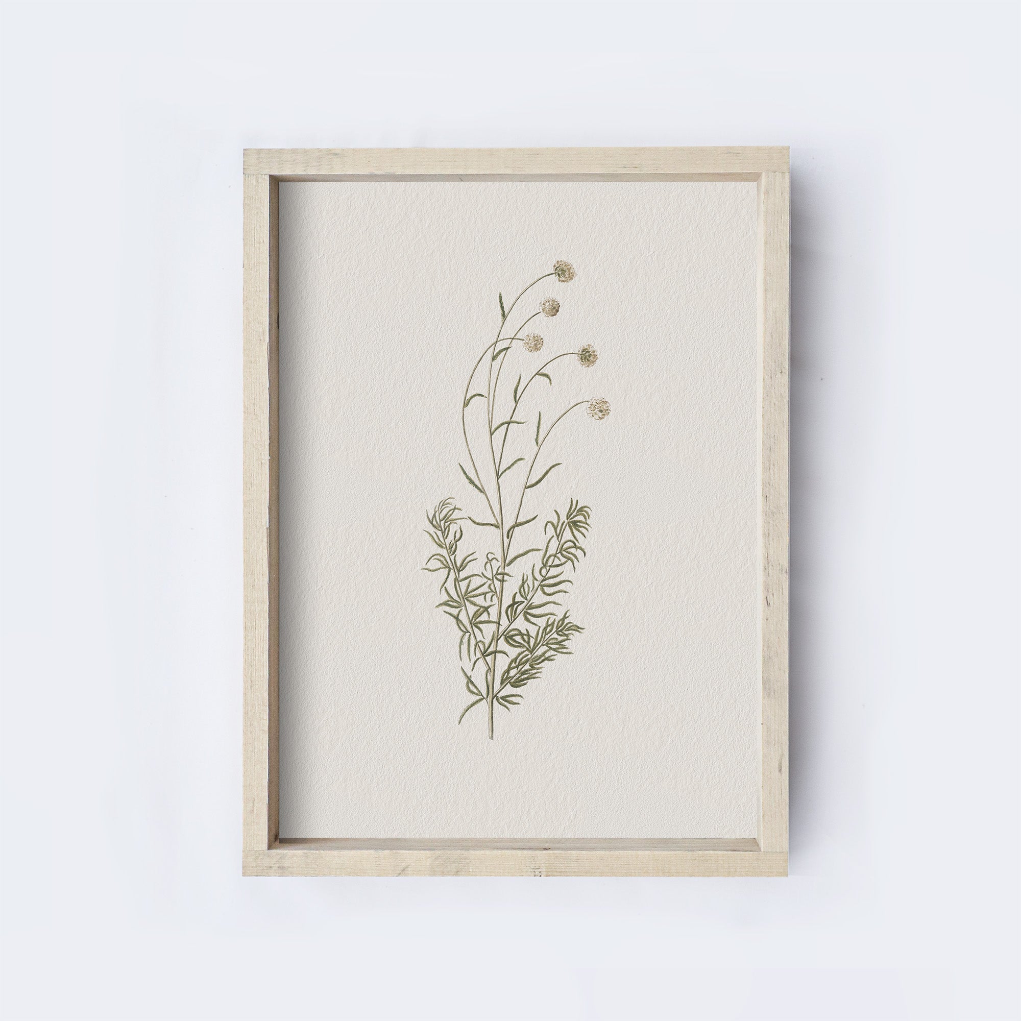 Vintage Flower Art Print | Botanical Floral Drawing A106-0