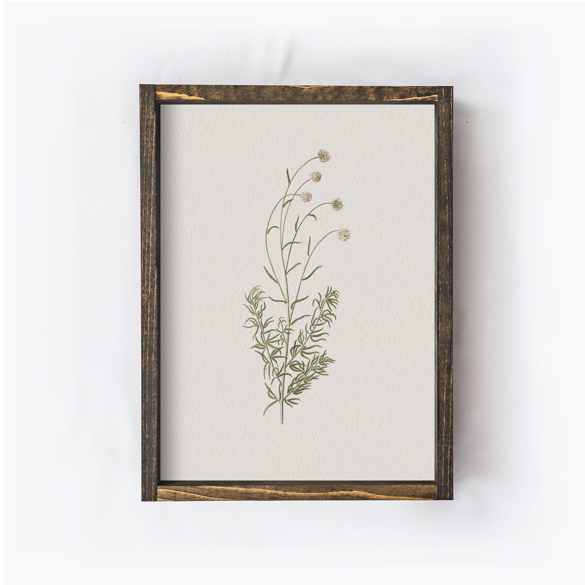 Vintage Flower Art Print | Botanical Floral Drawing A106-4